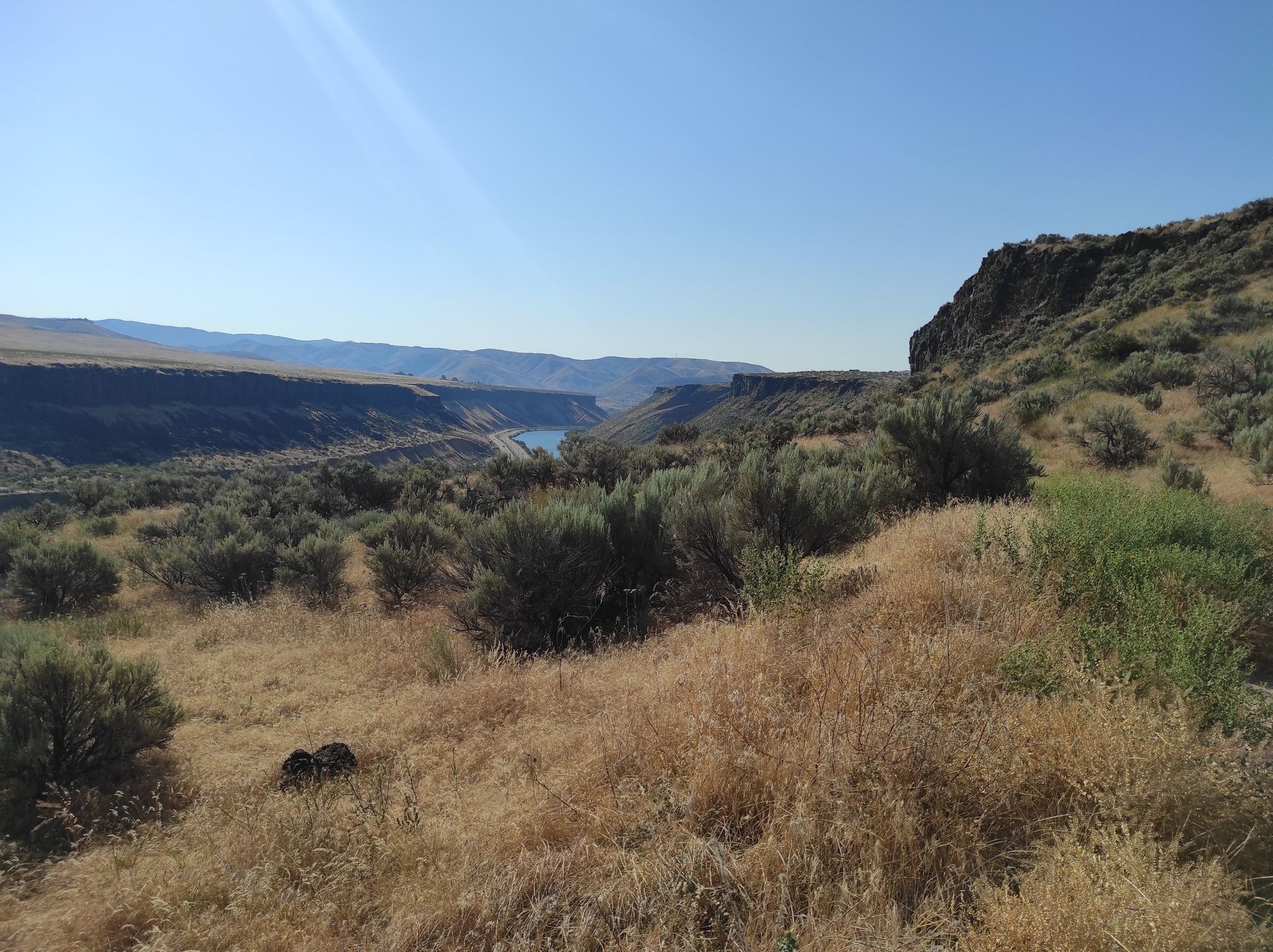 Sunny view of a deep canyon with a river and arid, brush-covered hills. - Ezra Meeker Loop
