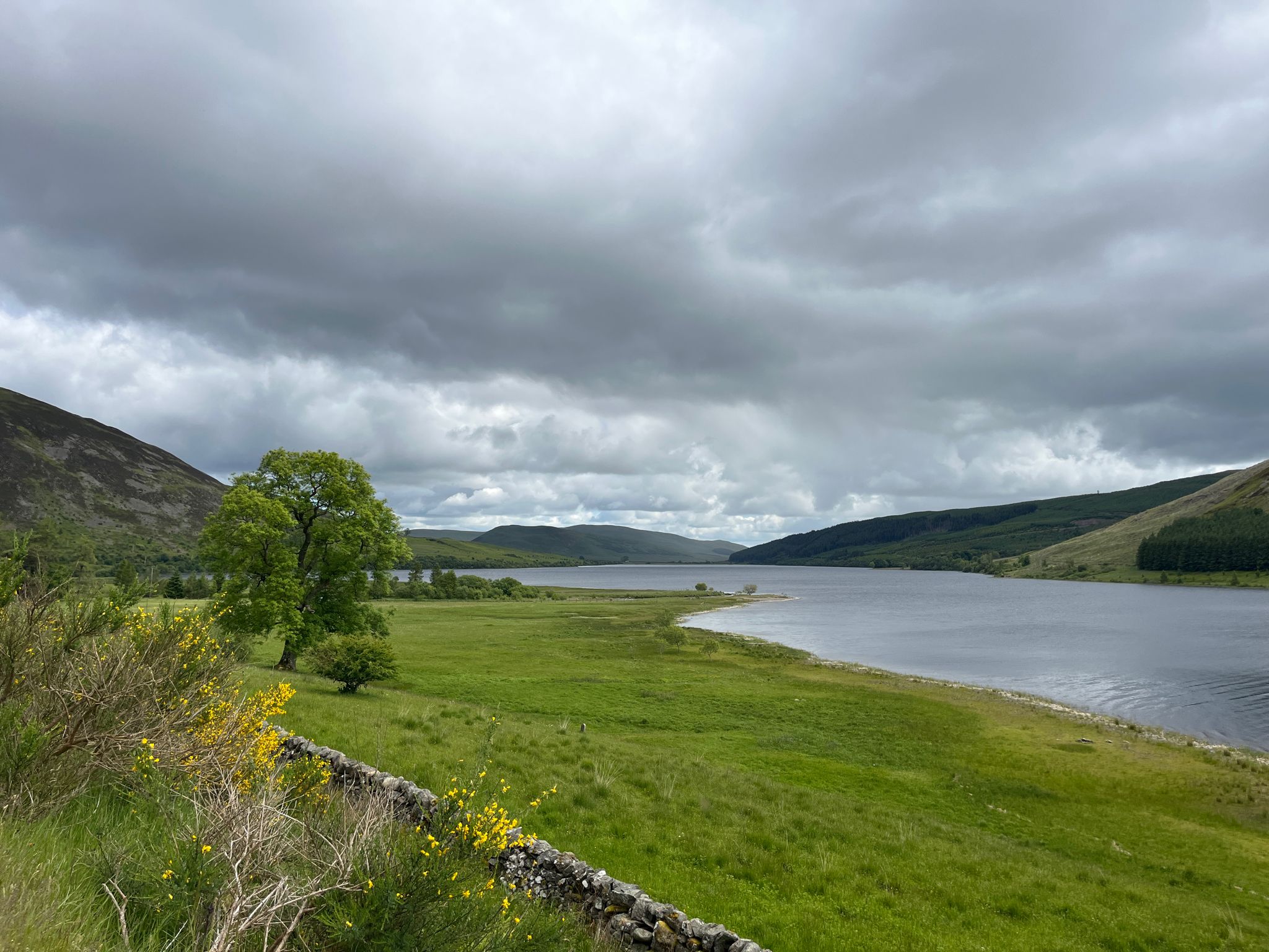 View towards the eastern end of St. Mary’s Loch