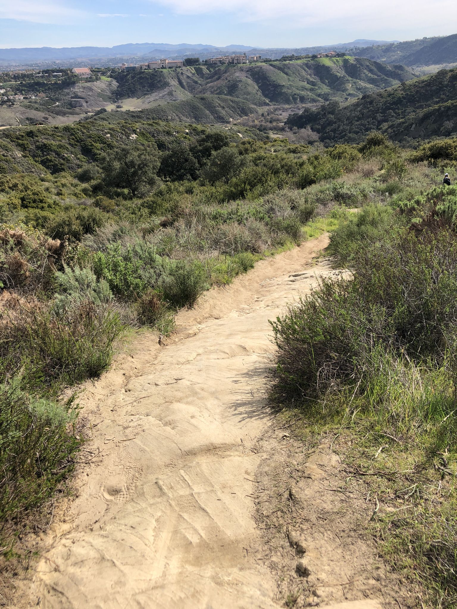A sandy dirt path descends through green brush into a valley. - Rock-It, Car Wreck, and Wood Canyon Loop