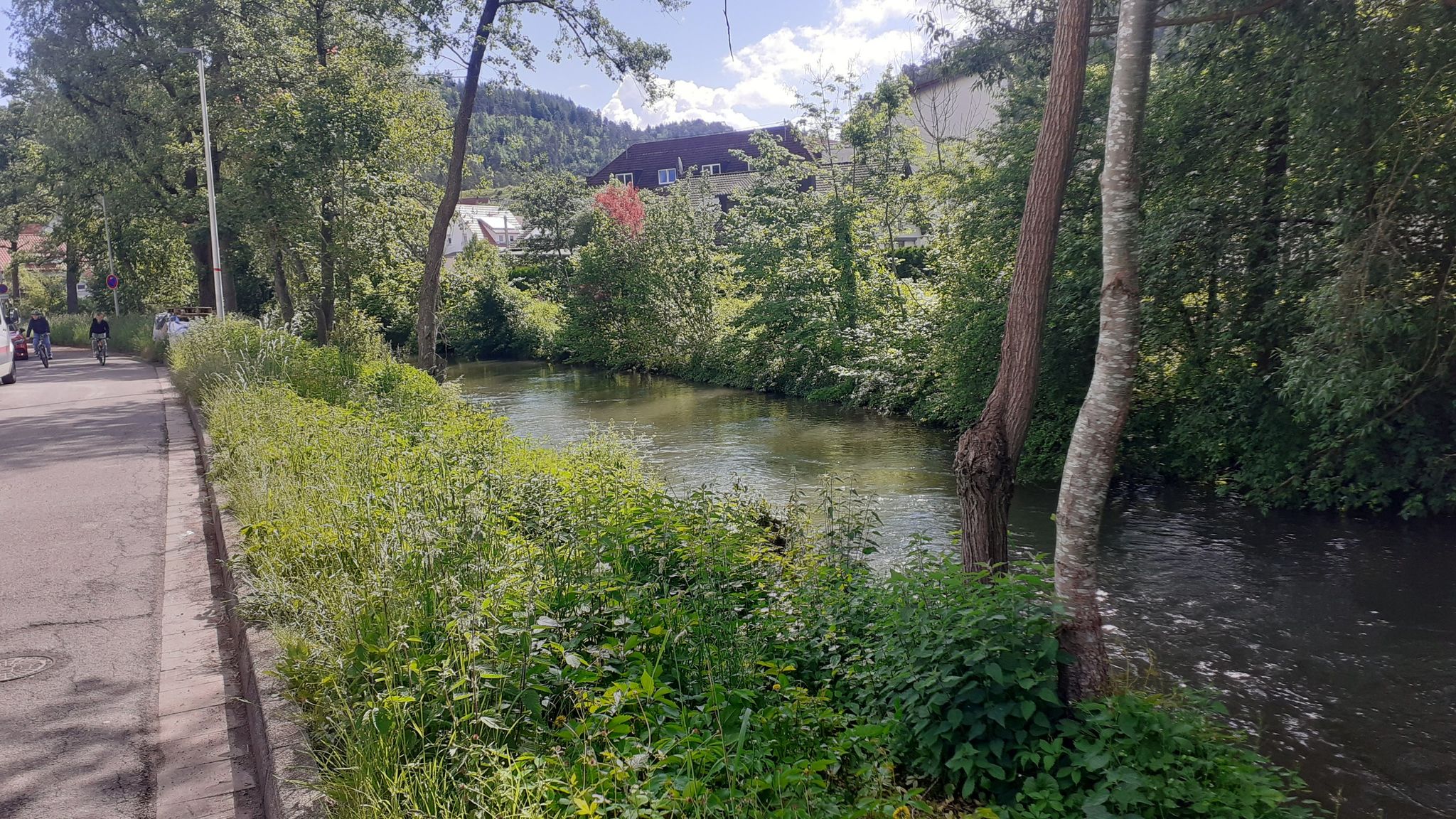 s2 Waldach