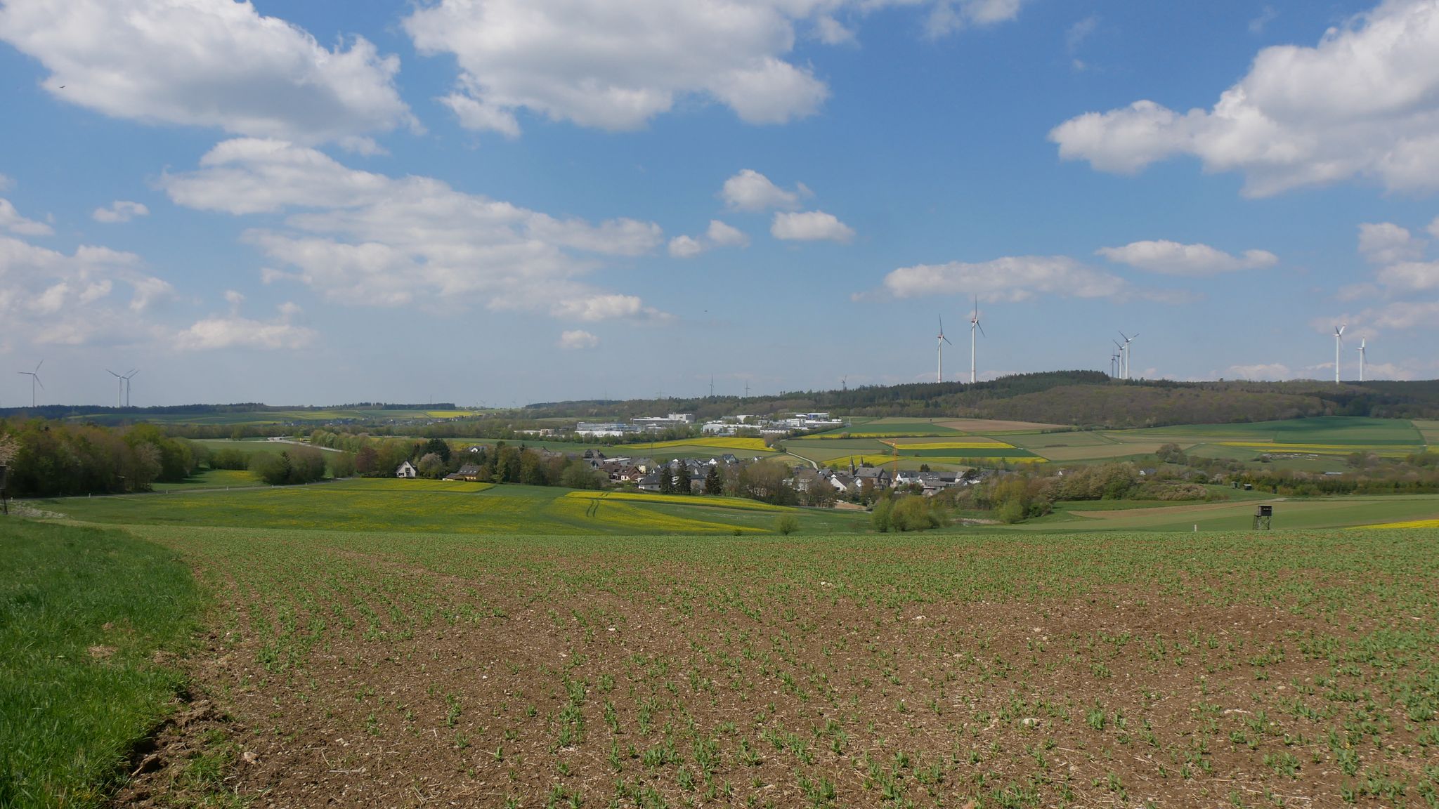 Blick auf Wiebelsheim