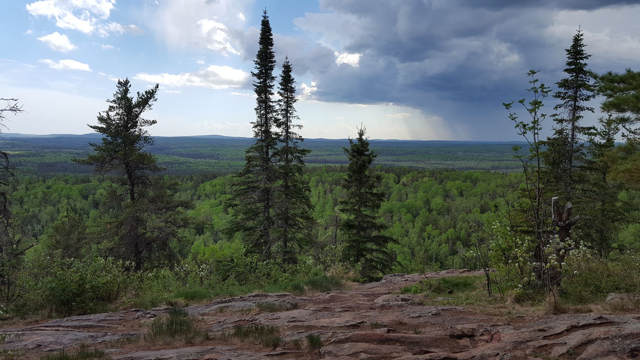 Pine trees on rocky ground overlook a vast forest under a cloudy sky. - Brule Lake and Eagle Mountain Trail