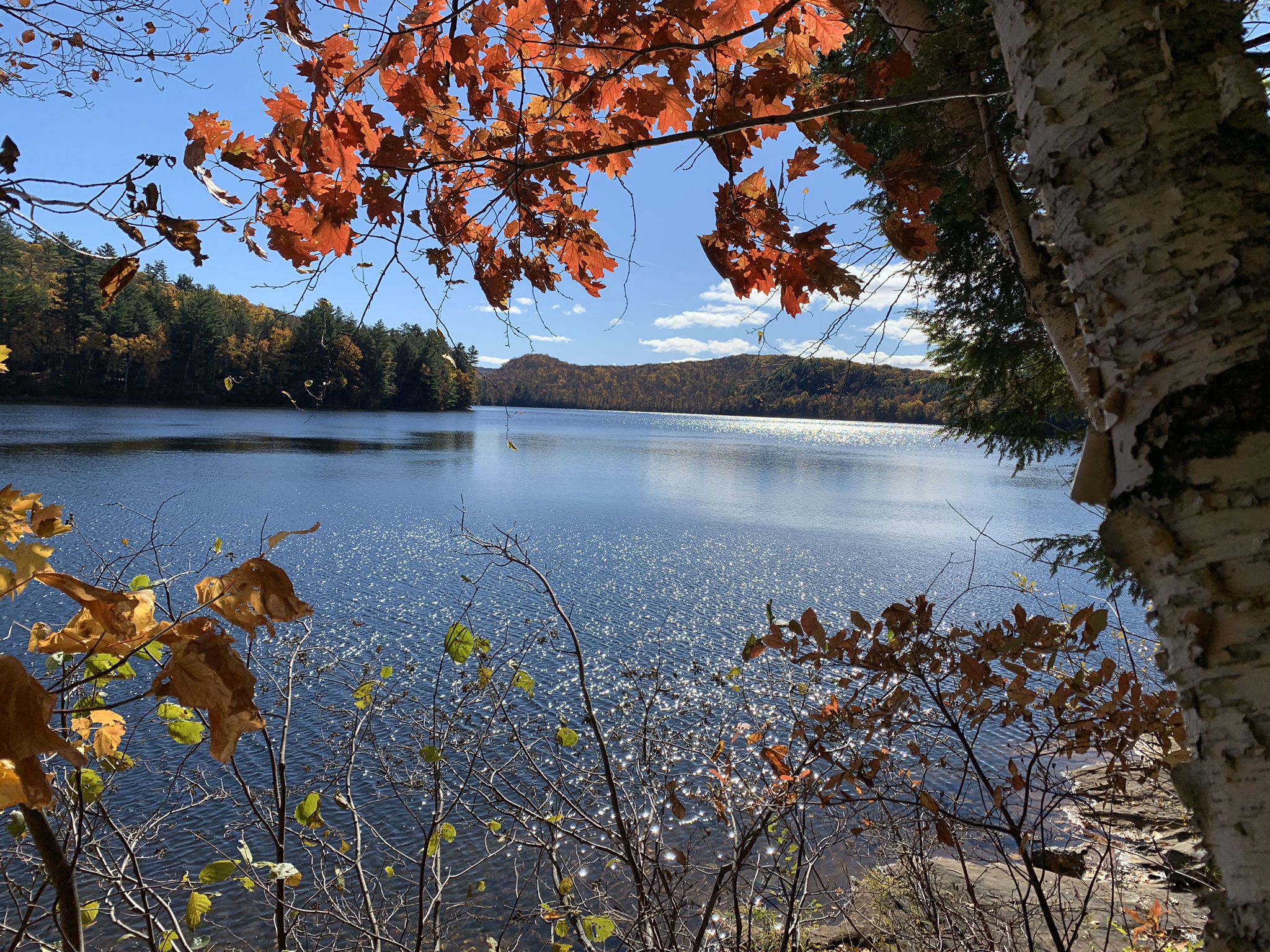 Sparkling lake framed by vibrant autumn leaves on a sunny day. - Silver Lake Loop Trail