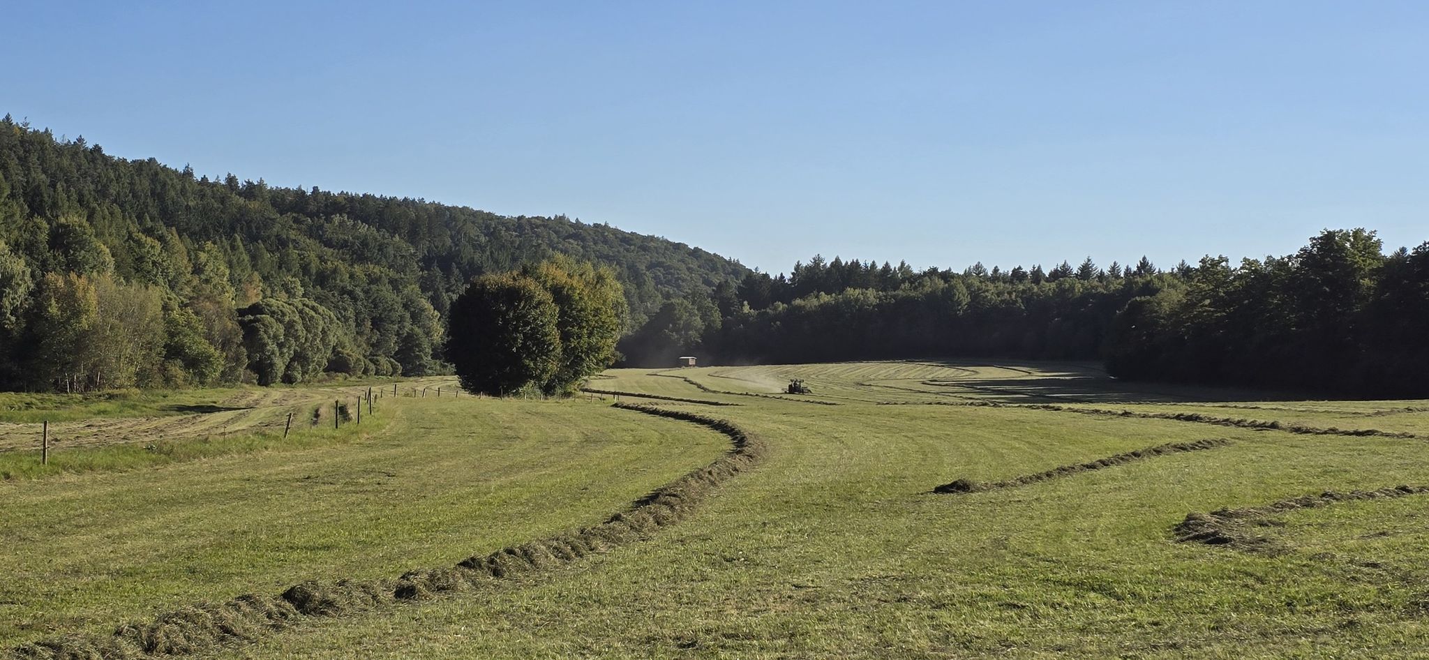 Heuernte 👨‍🌾👩‍🌾