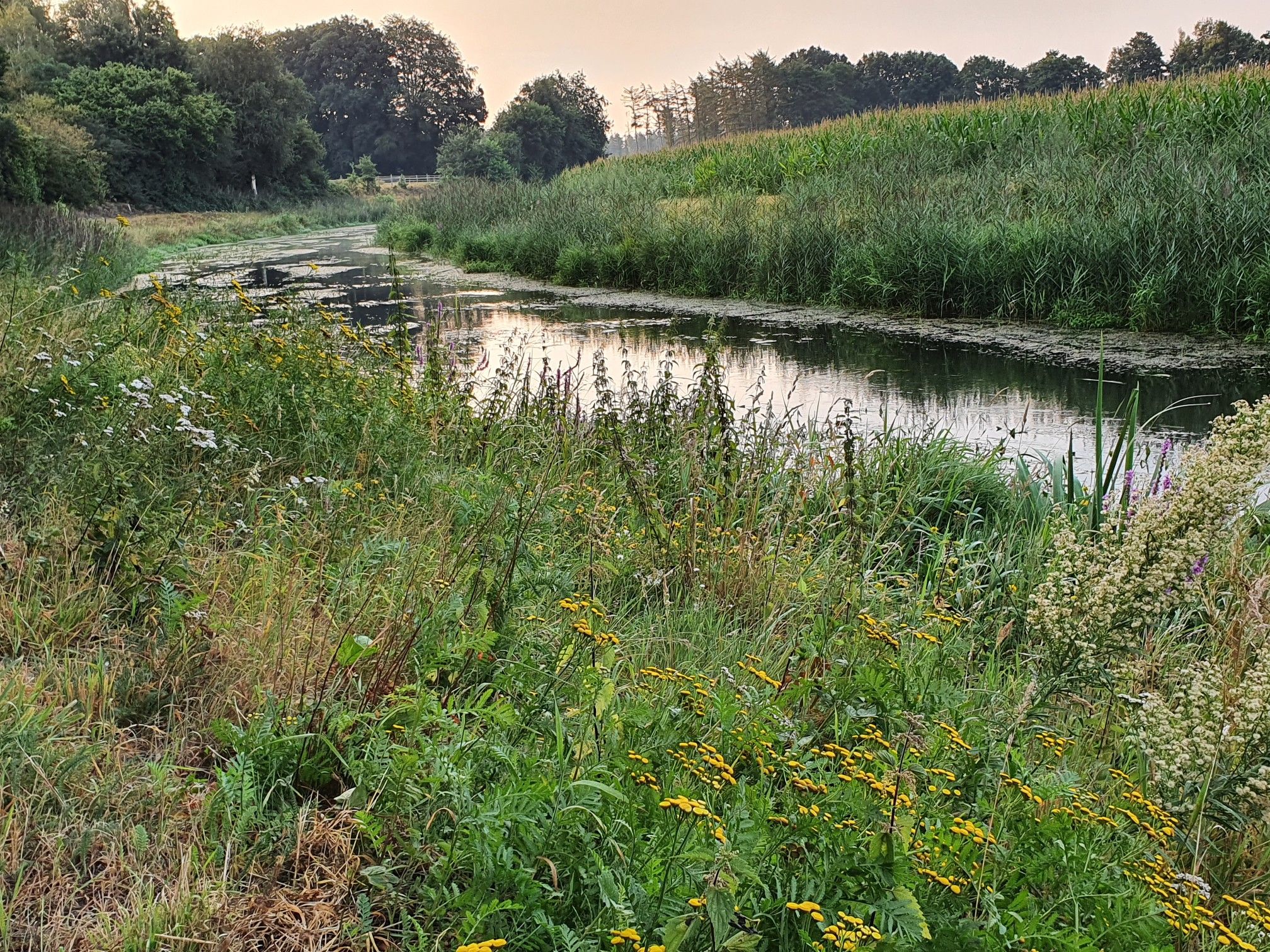 An der Nordradde.