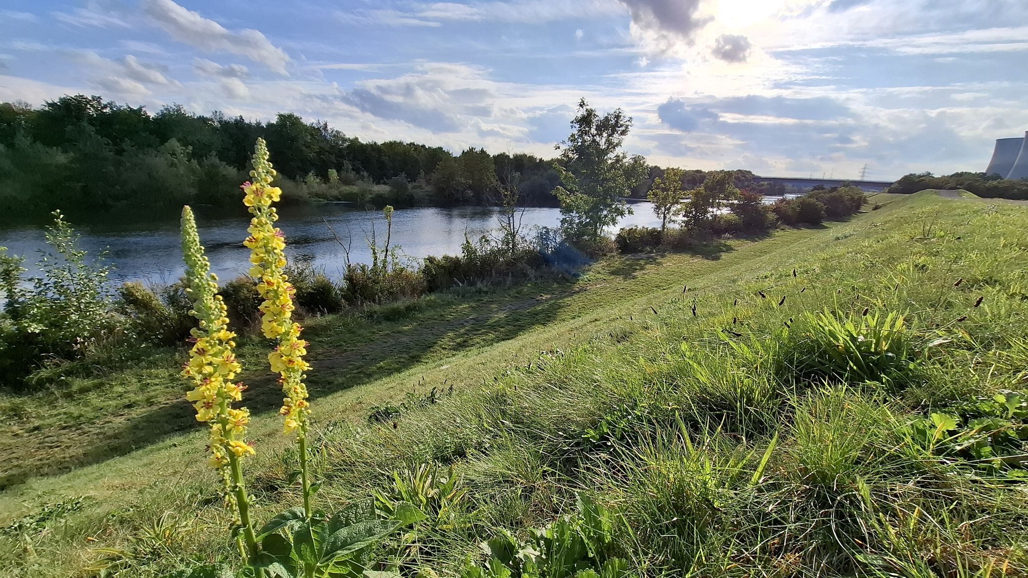 Blick vom Lippedamm auf die Lippe