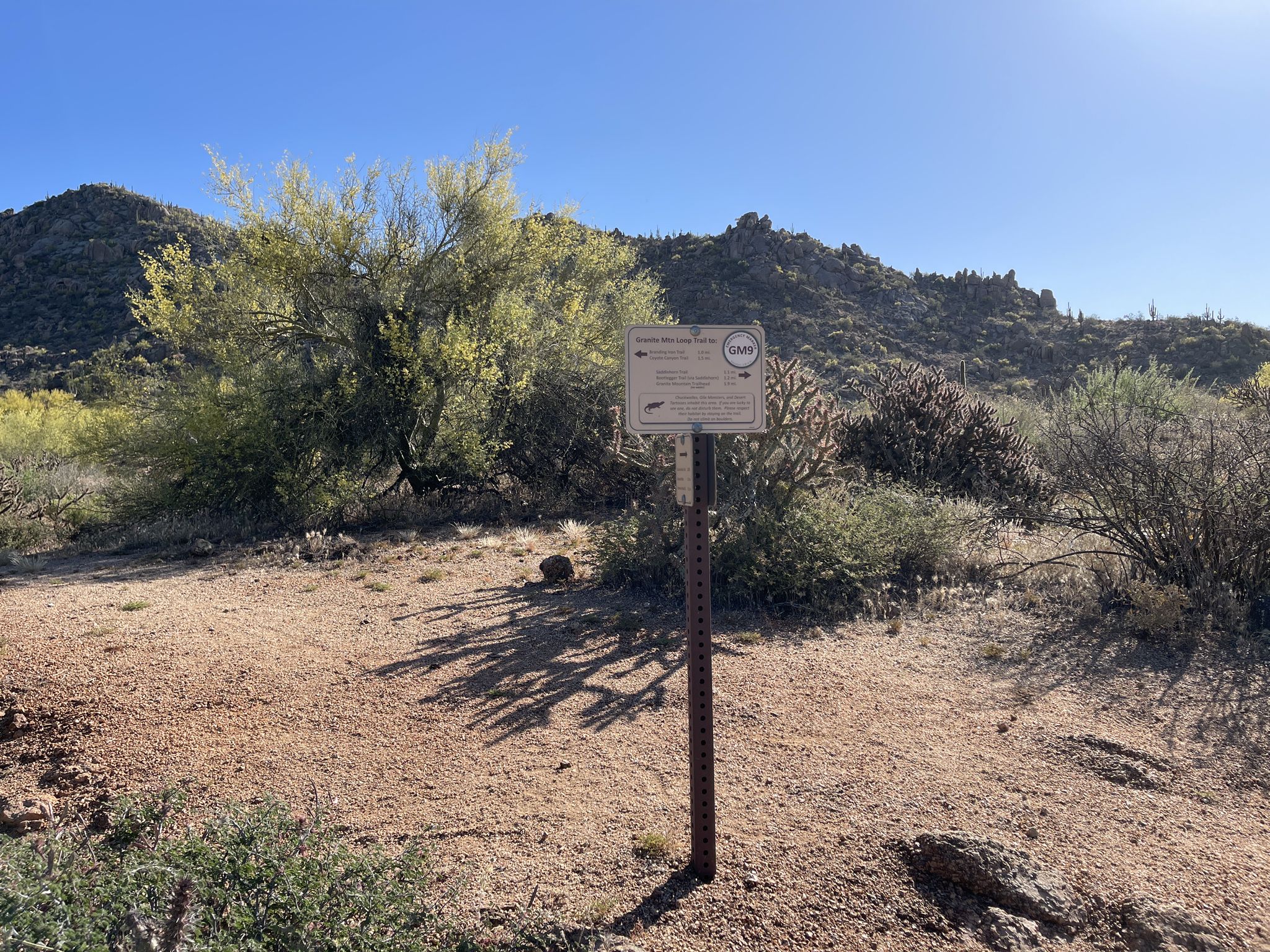 A trail sign stands on a dirt path in a sunny desert. - Balanced Rock – Balanced Rock loop from Fraesfield Mountain Trailhead