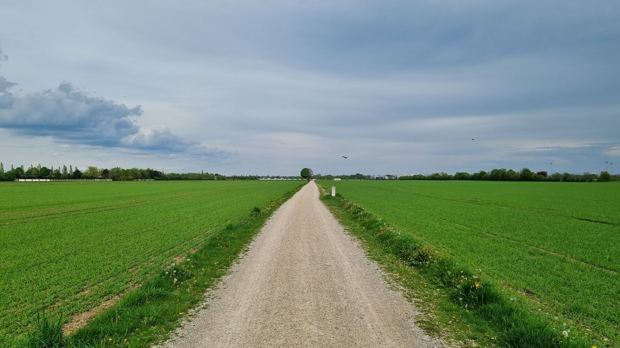 schnurgerade geht's nach Riemerling rüber...