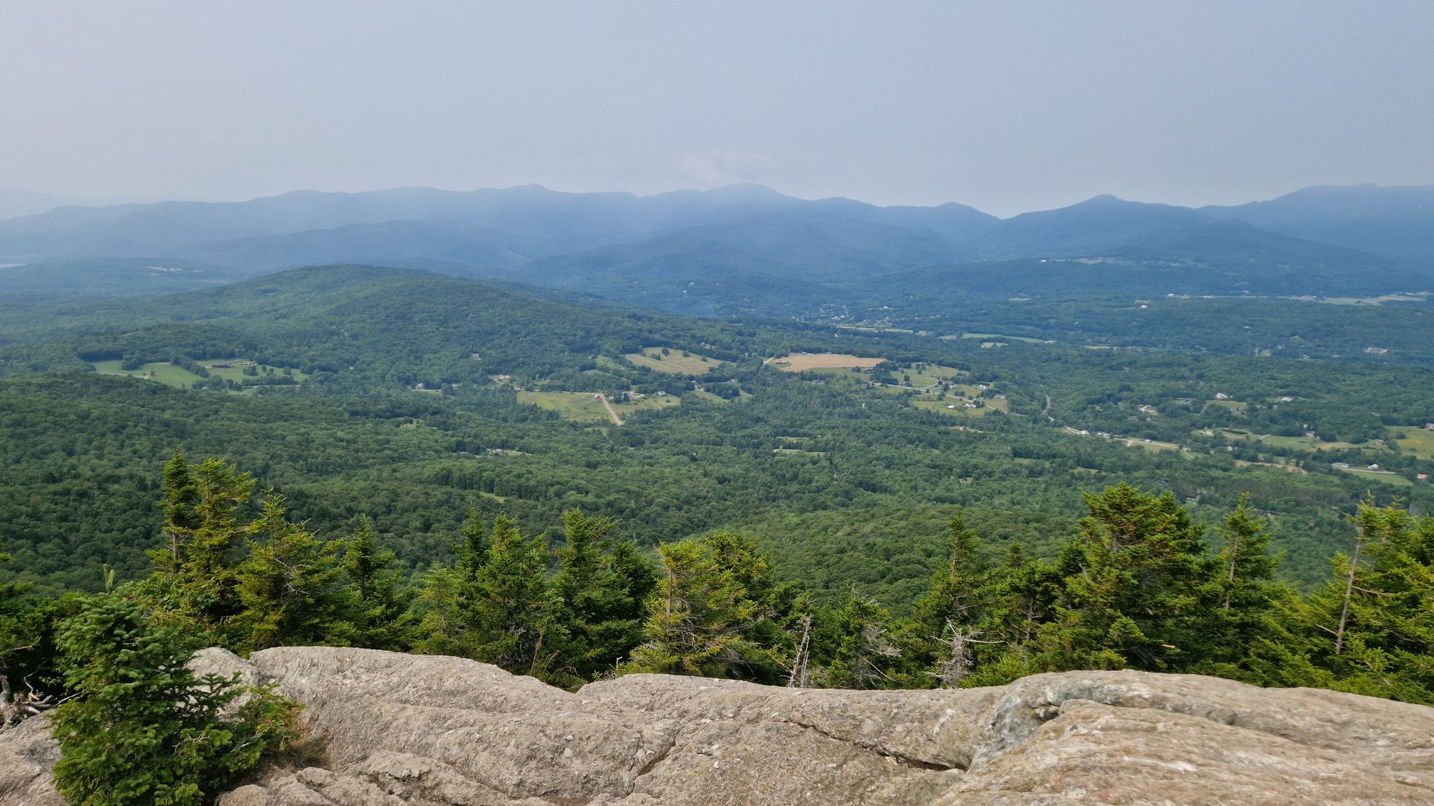 Vast green forested valley and hazy mountains under a soft sky. - Mount Hunger via Skyline Trail