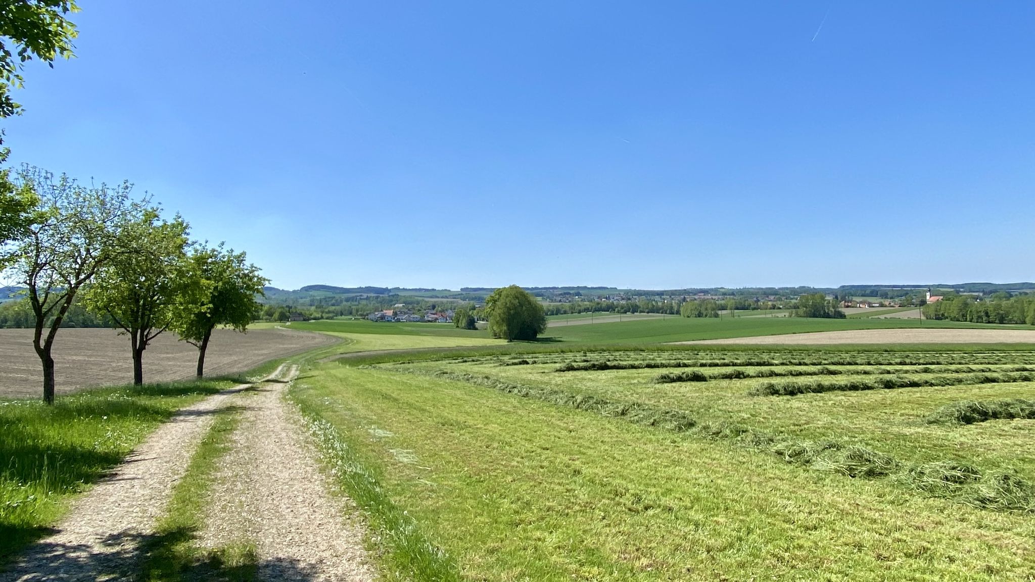 schöne Abfahrt parallel zu Asphaltstraße