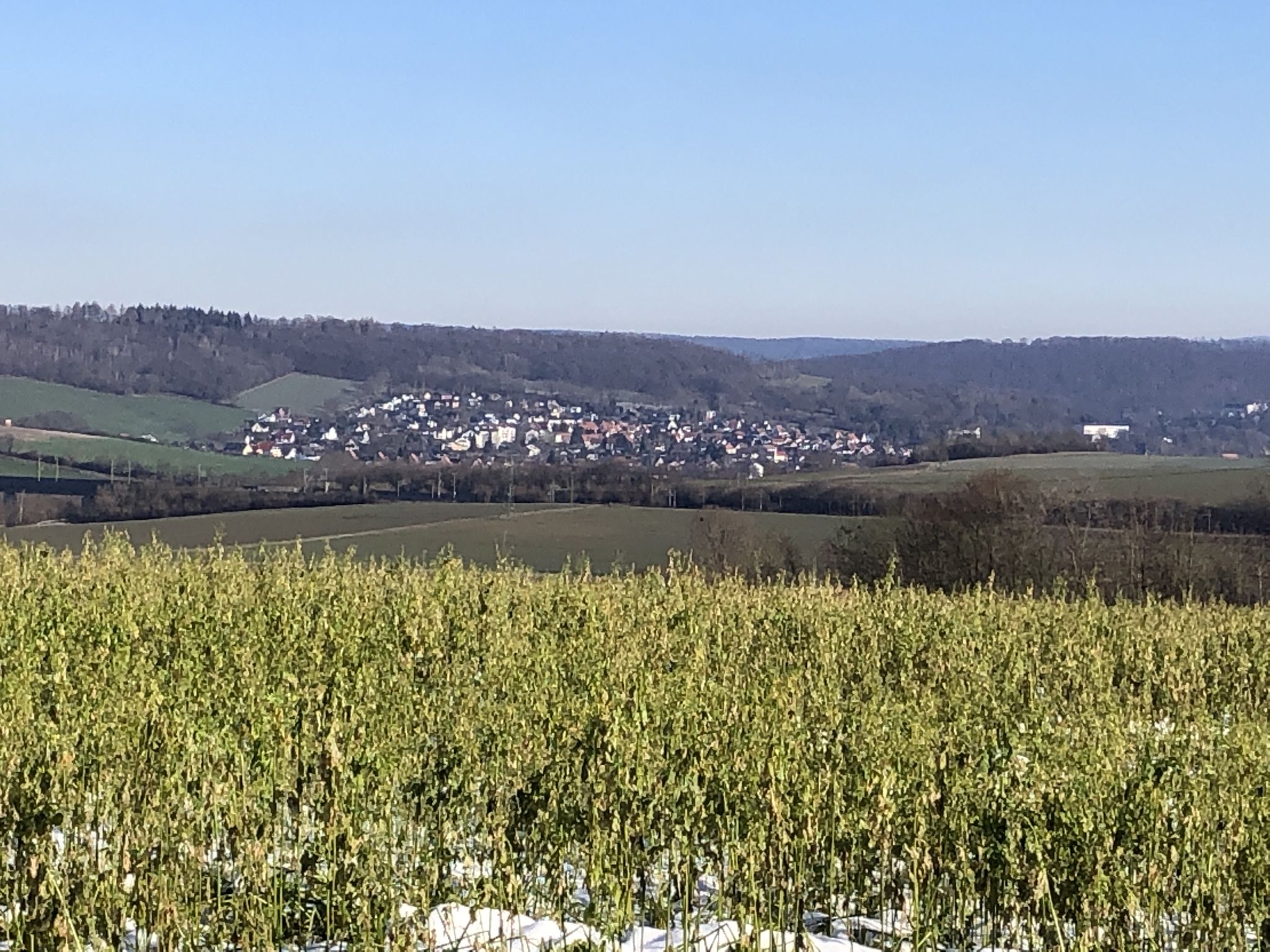 Blick auf Bad Gandersheim - Clusberg
