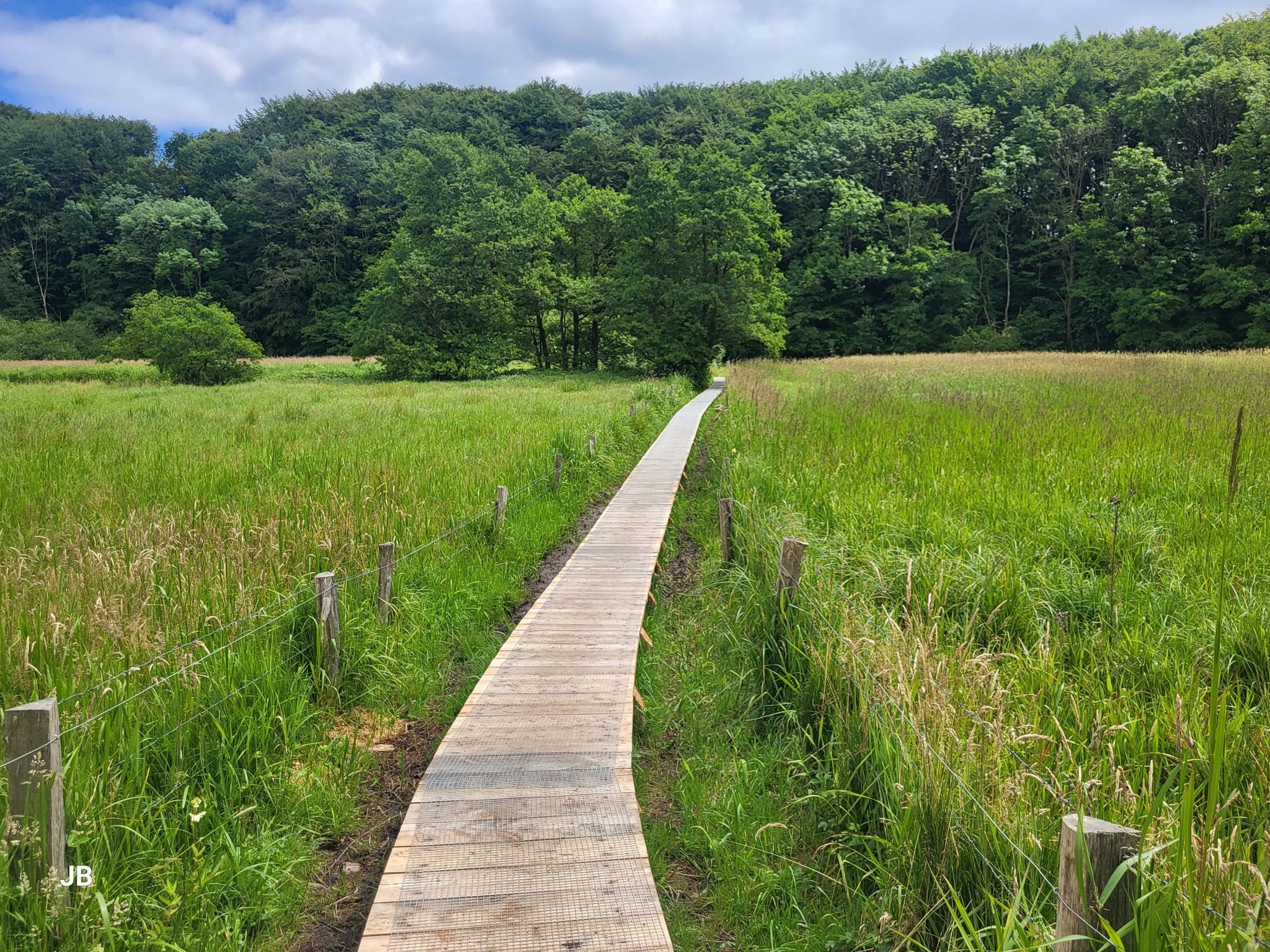 Weg durch das Im Tal der Langballigau