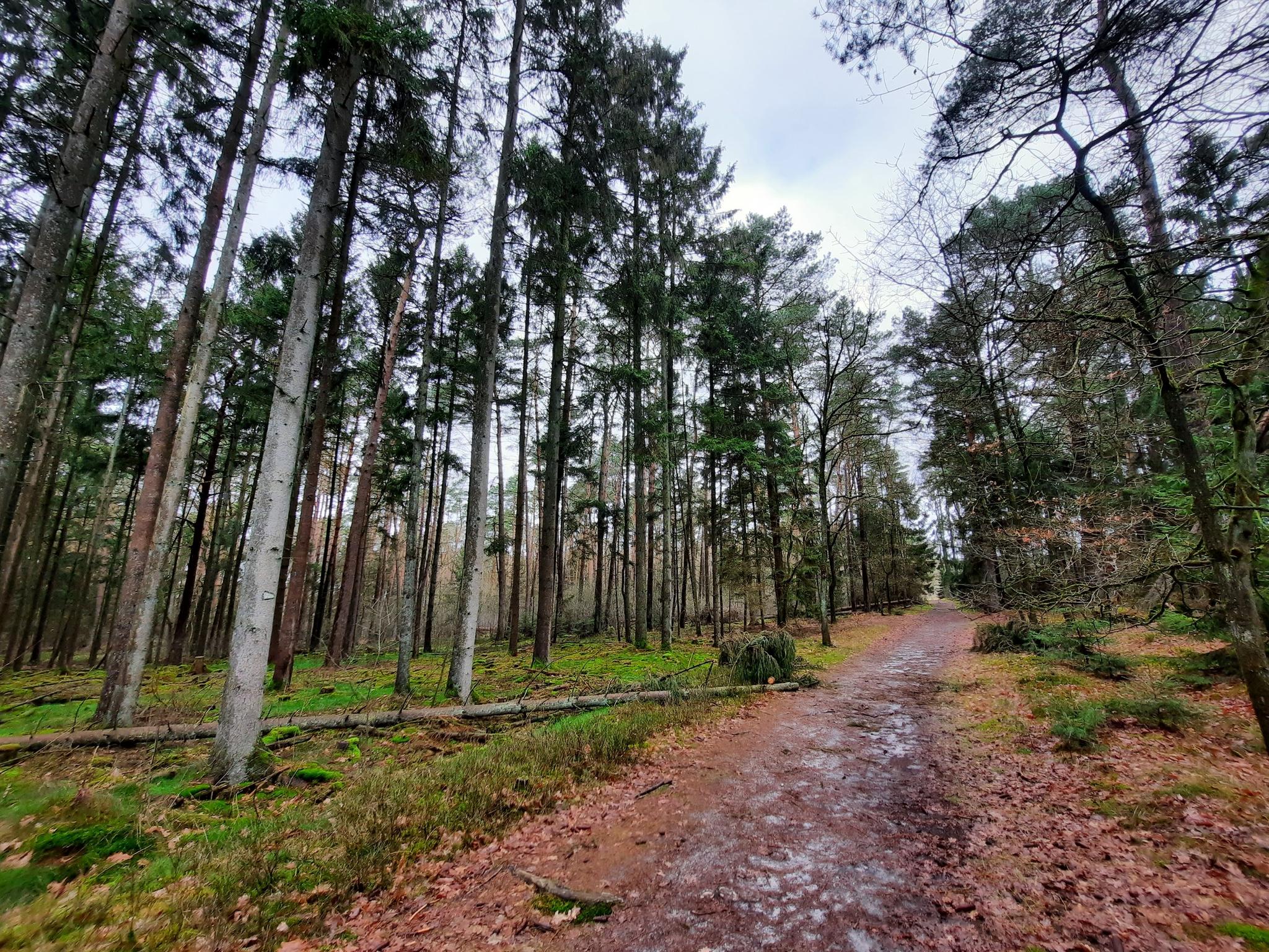 O que fazer em Grünhaus