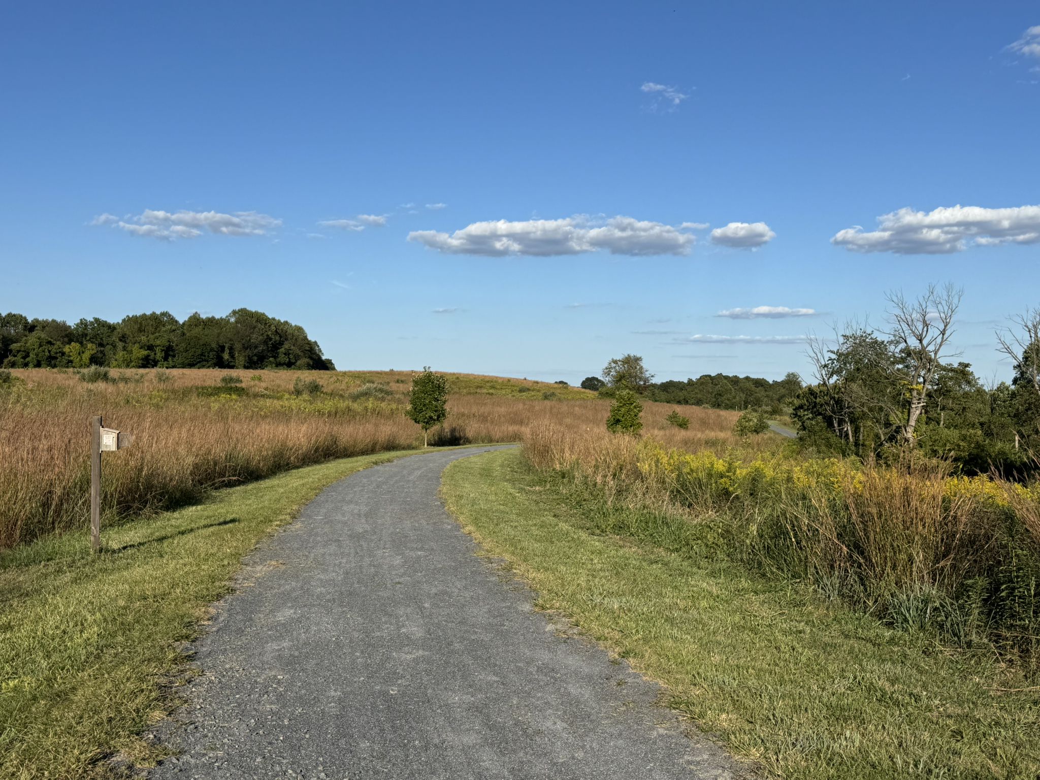 Gravel path winding through a sunny field of tall grasses under blue sky. - Schuylkill River Trail and Big Woods Trail Loop