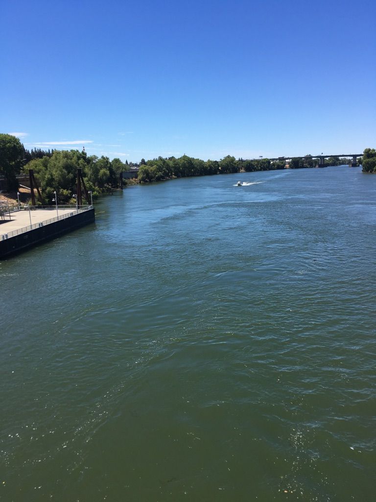 Wide river with a boat, dock, and green trees under a clear blue sky. - Sacramento River loop from Downtown Sacramento via Clarksburg Trail