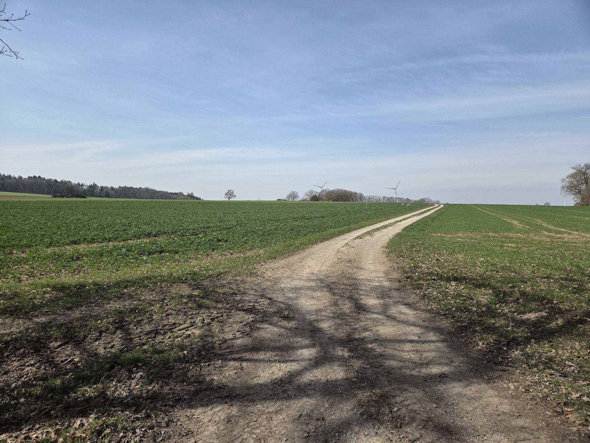 Über die Felder