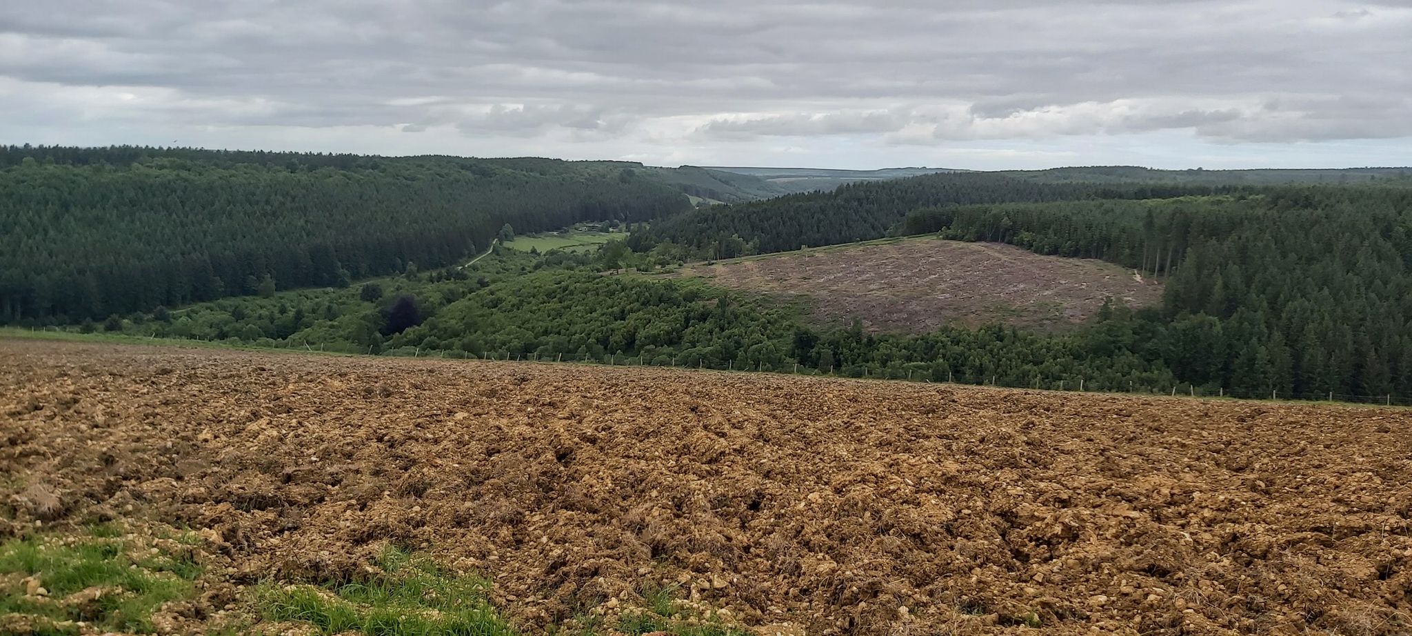 View across valley
