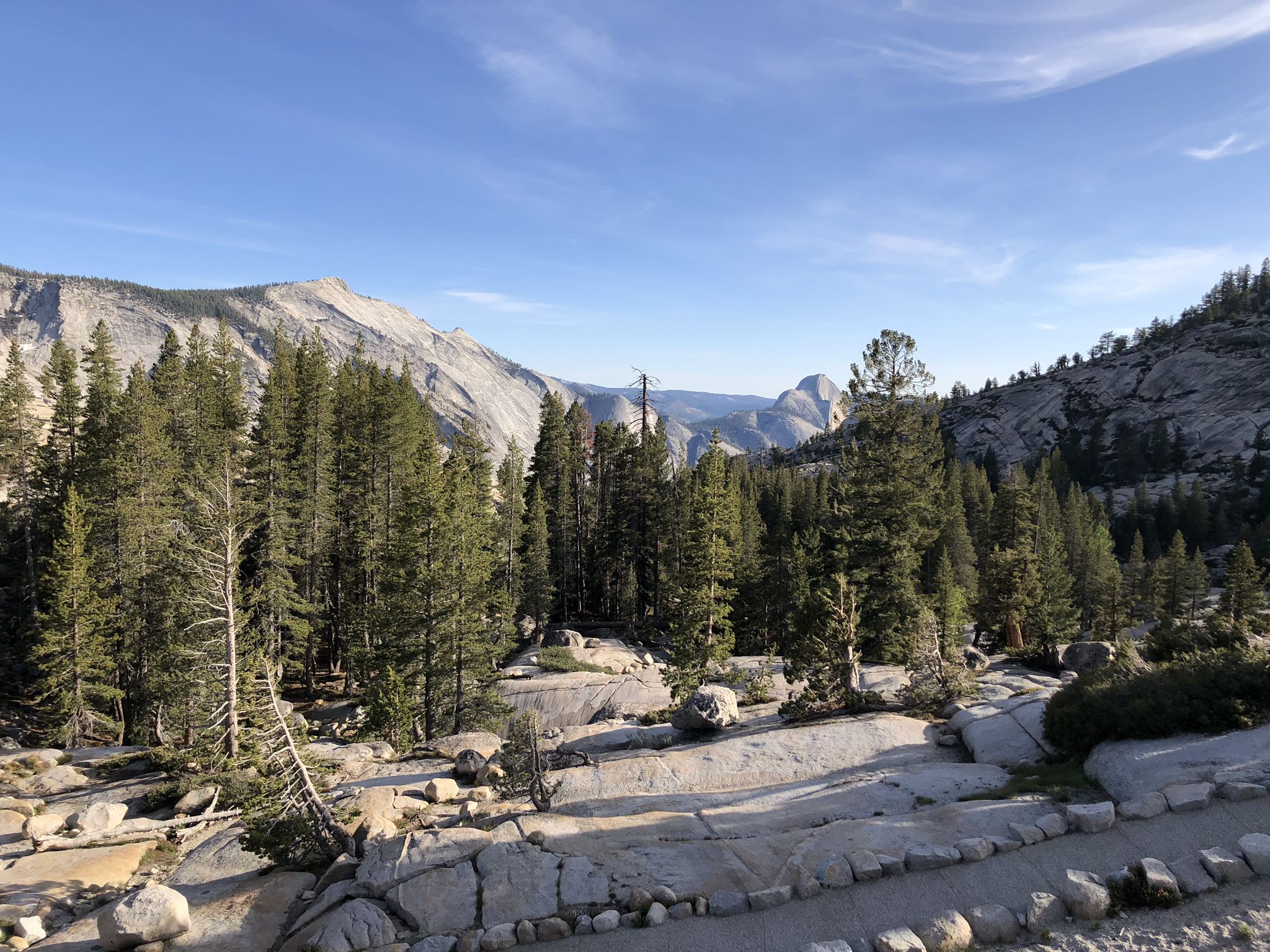 Sunny mountain landscape with dense pine forests and rocky foreground. - Tioga Pass to Olmsted Point