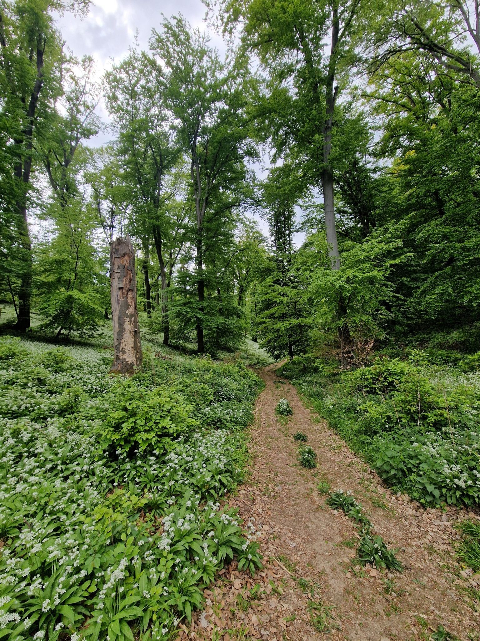 hike route