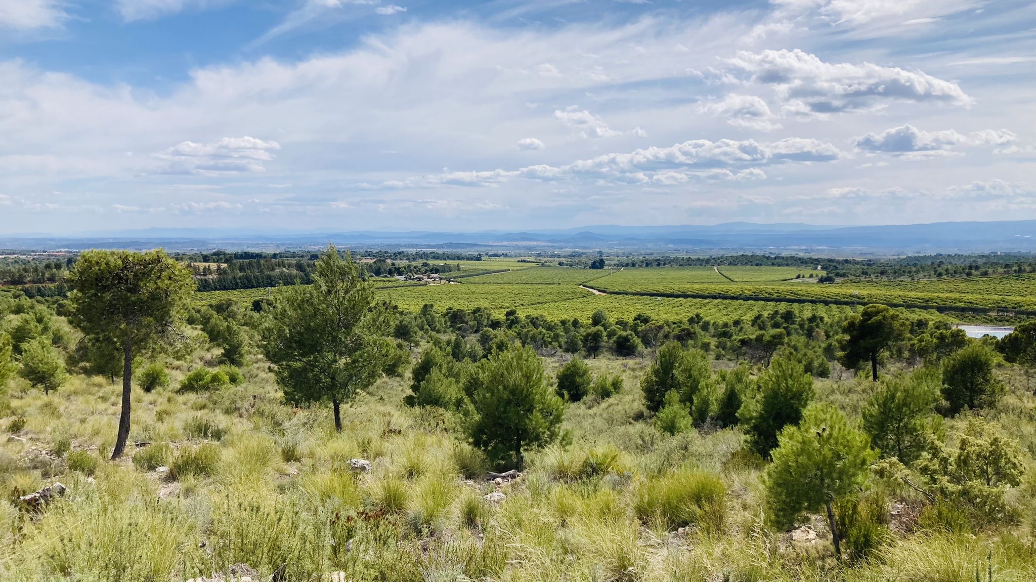 La Carrasqueta
