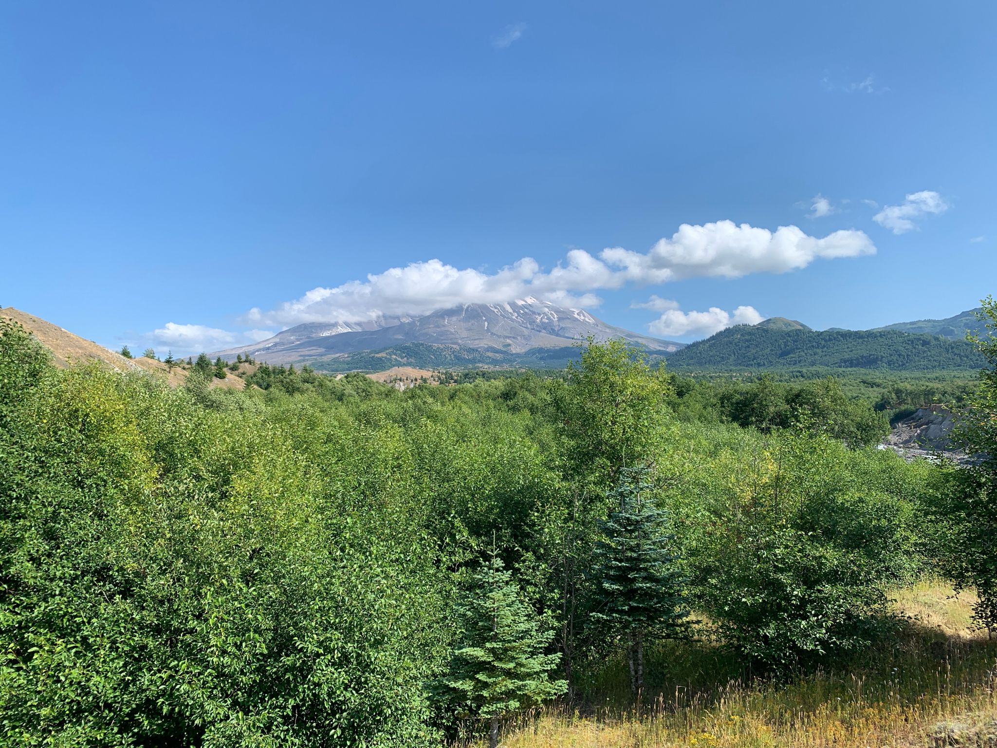 Snow-capped mountain peak above a lush green forest under a blue sky. - Hummocks Trail