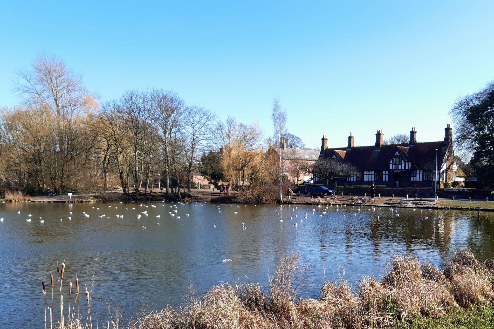 Christleton Pond