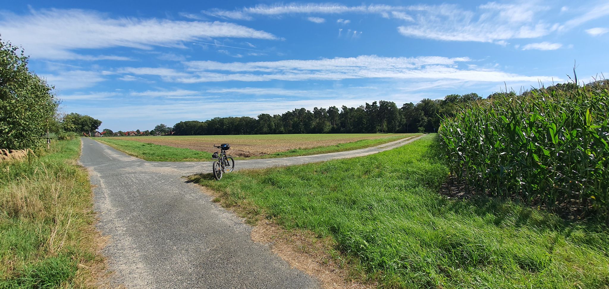 hier gerade aus fahren Richtung Wasbüttel