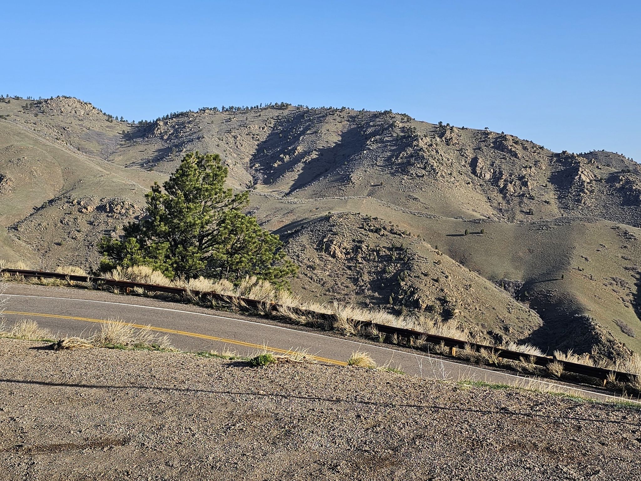Winding road with a guardrail, a pine tree, and arid mountains under clear sky. - Colorado Railroad Museum to Lookout Mountain Nature Preserve