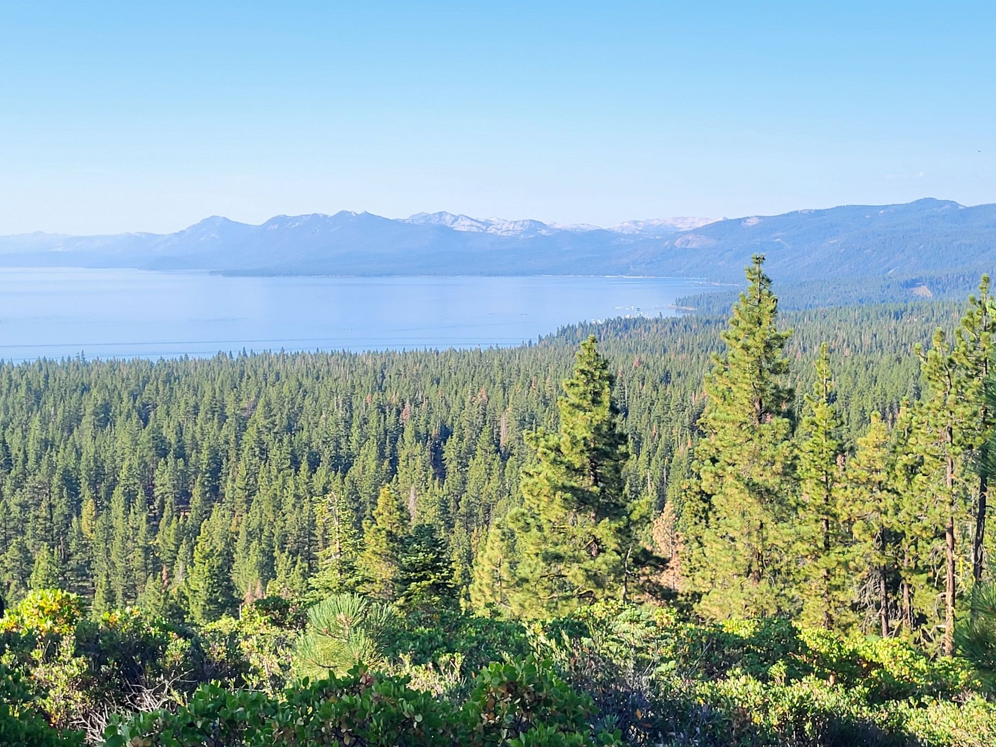 Panoramic view of a large lake, vast green forest, and distant mountains. - View of Lake Tahoe – Lakeview Ridge Trail loop from Dollar Point