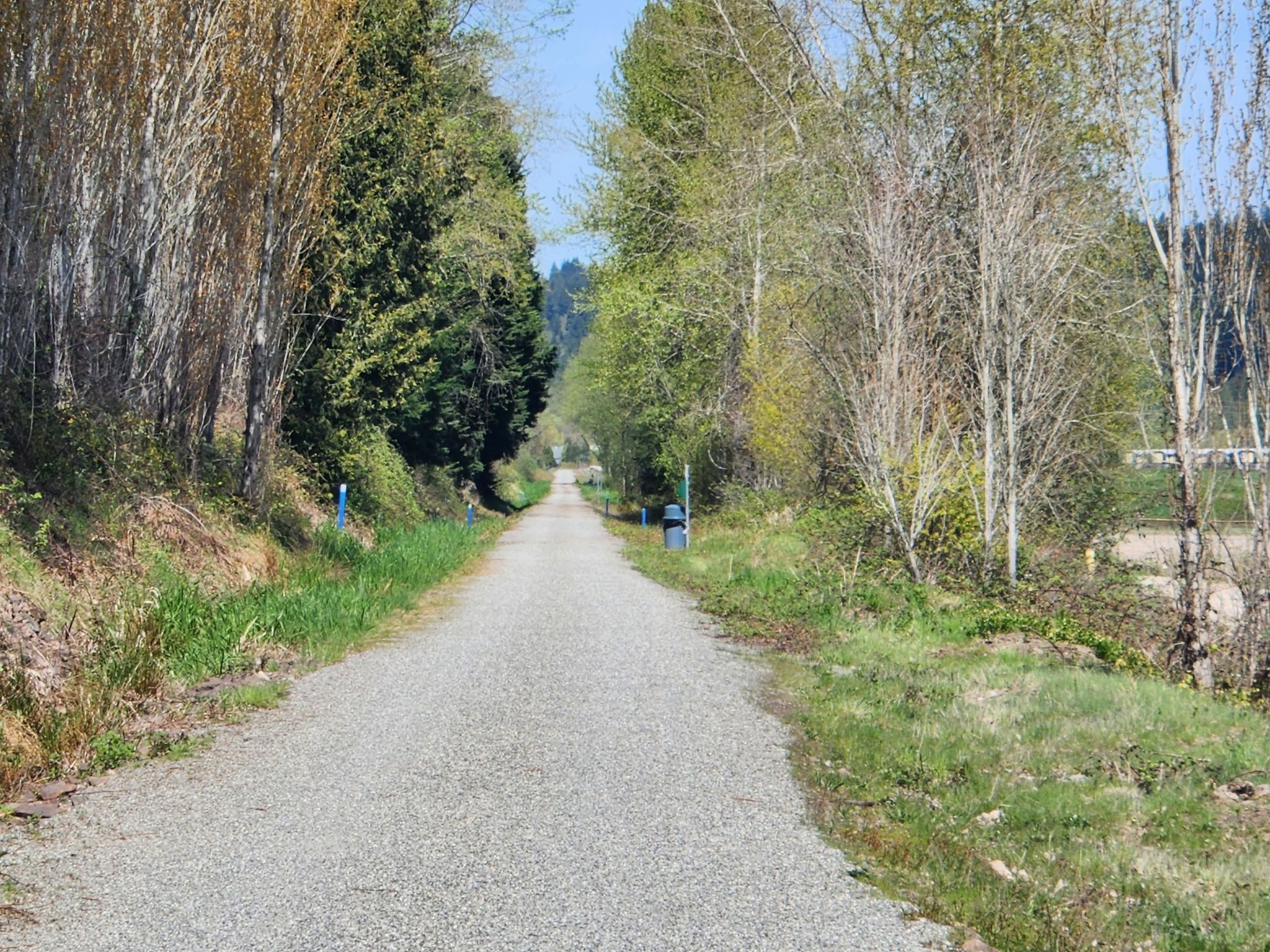 A long, straight gravel path lined with green trees and brush. - Eastrail – Cross Kirkland Corridor loop from Kingsgate