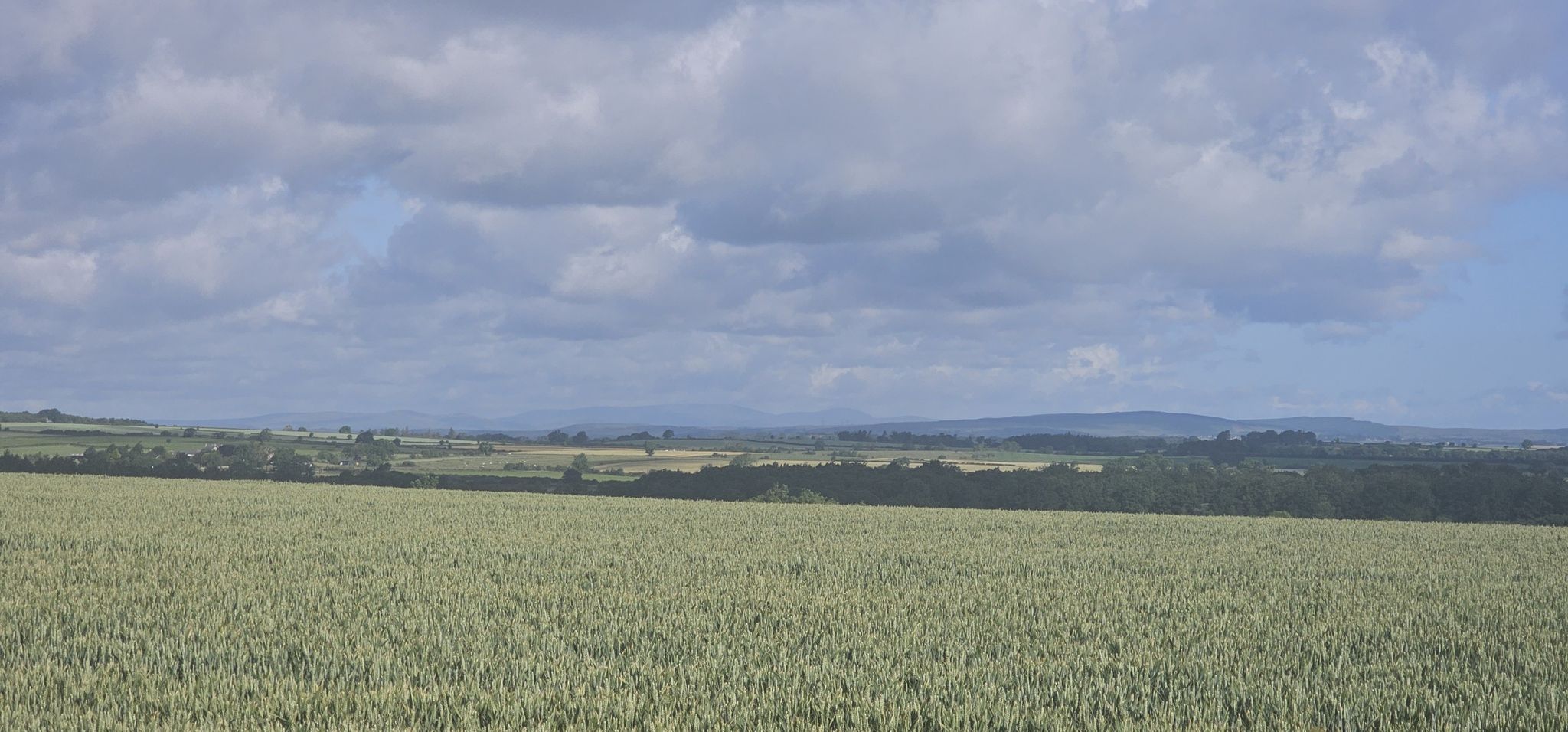 Landschaft unterwegs