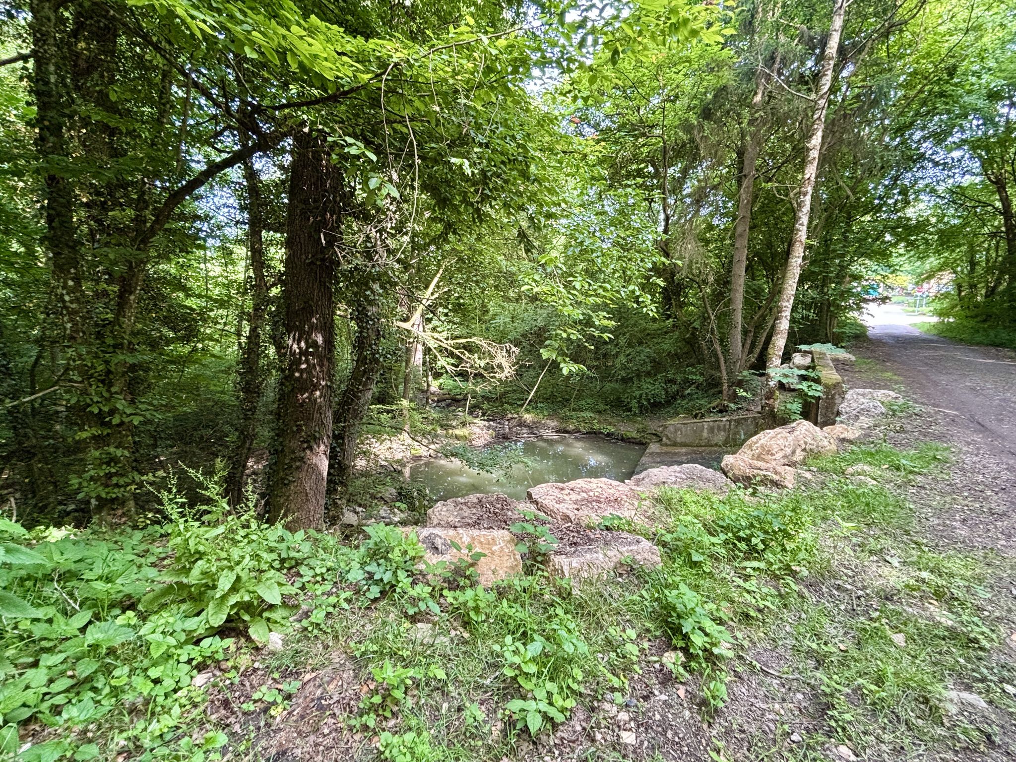 Emplacement de la Schierenermuhle