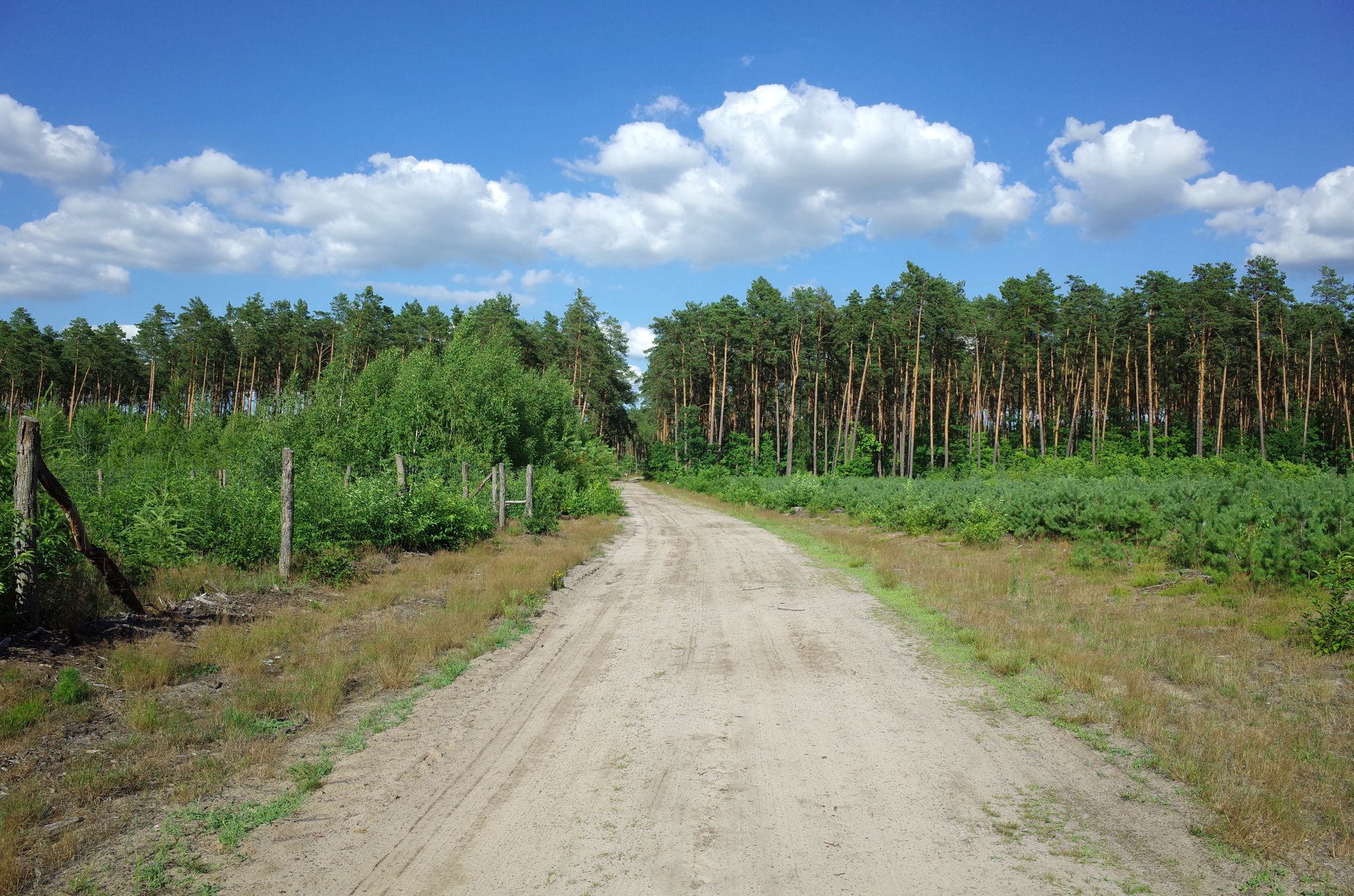 Ostoja Kozienicka - Natura 2000.