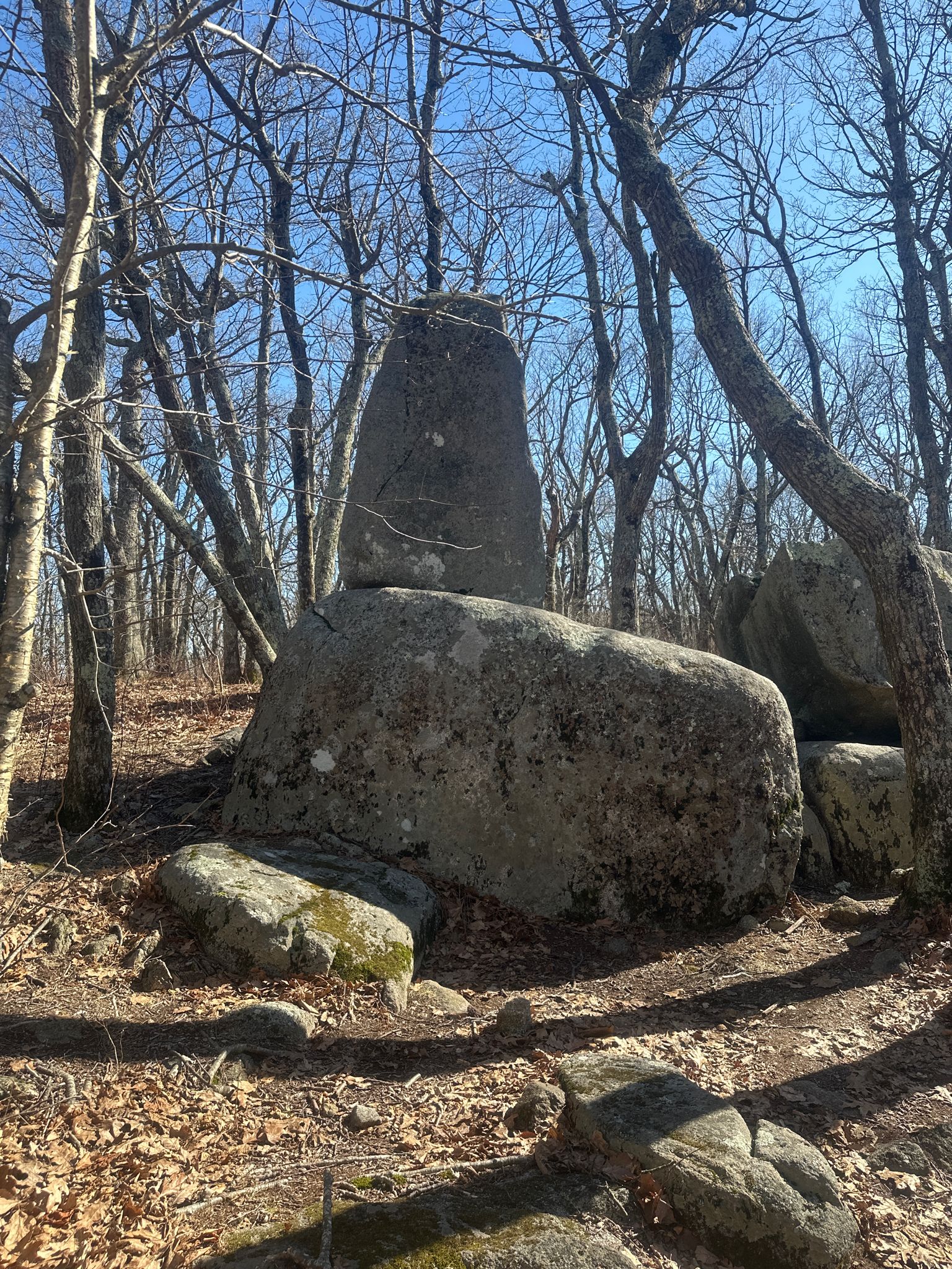 Large stacked rocks stand among bare trees on a sunny forest floor. - The Priest Mountain via Appalachian Trail