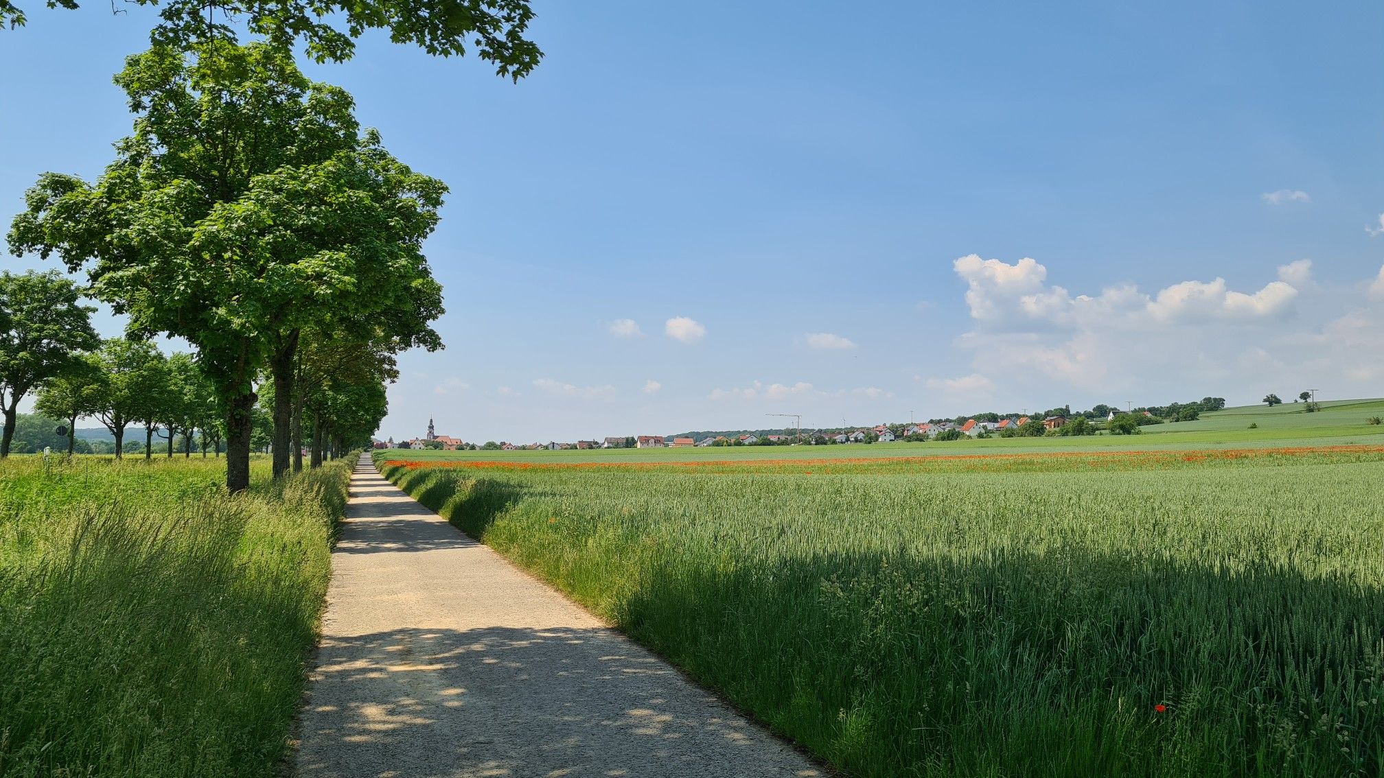 Umleitung Main Radweg