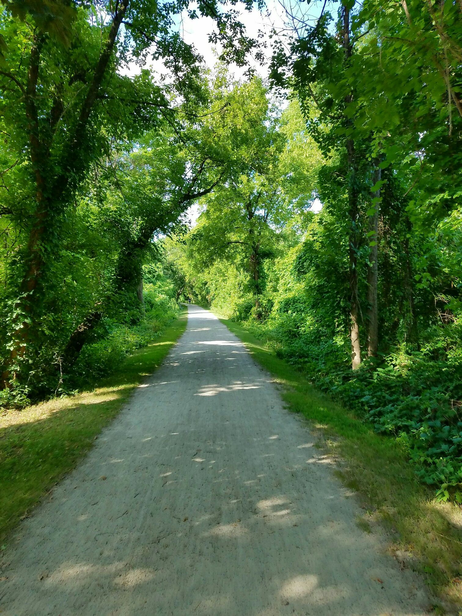 A sun-dappled dirt path winding through a tunnel of lush green trees. - Orchard Lake – West Bloomfield Trail loop from West Bloomfield Charter Township