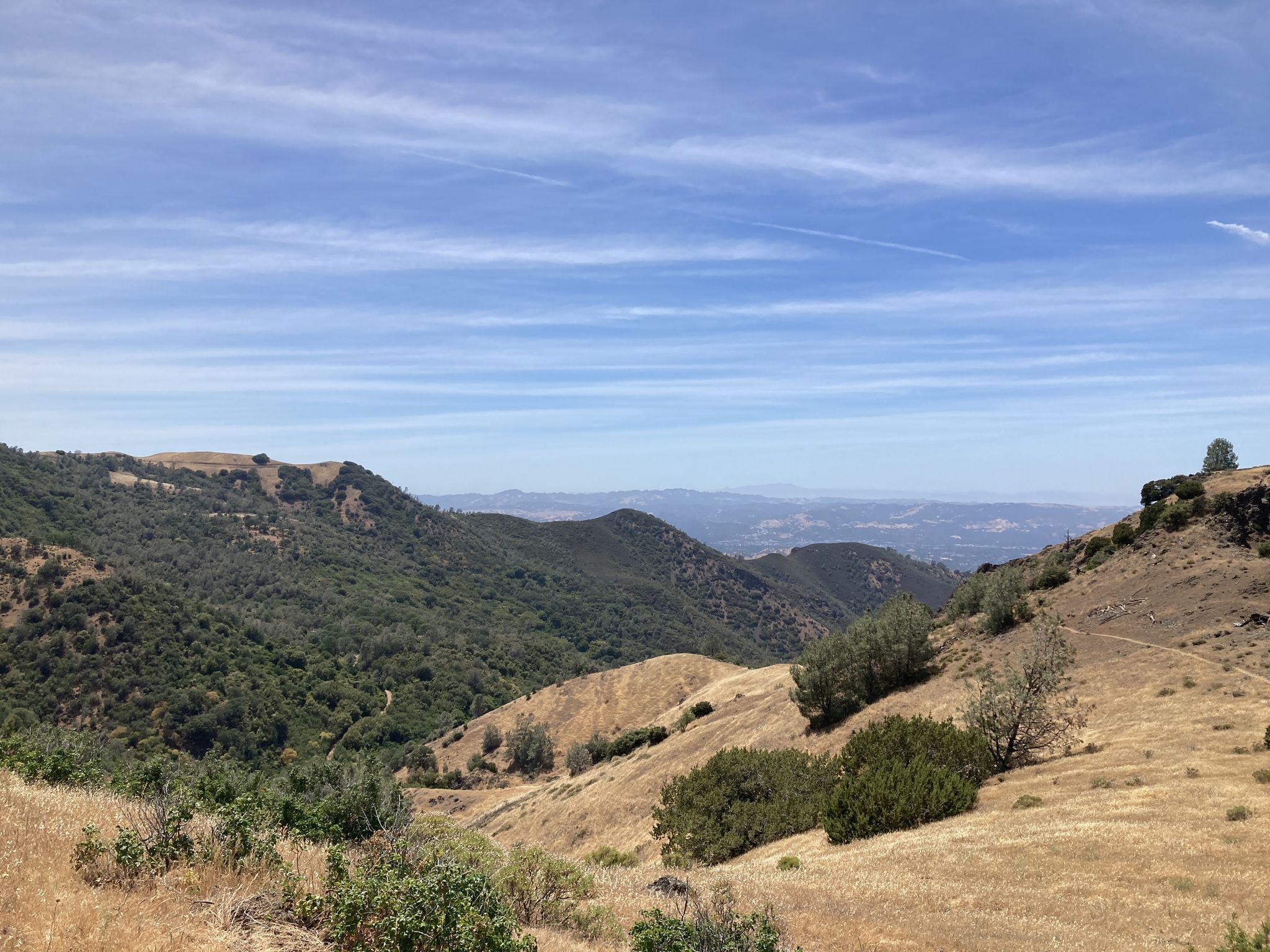 Rolling green and dry hills with scattered trees under a bright, cloudy sky. - Back Creek Trail and Bald Ridge Trail to Mount Diablo Summit