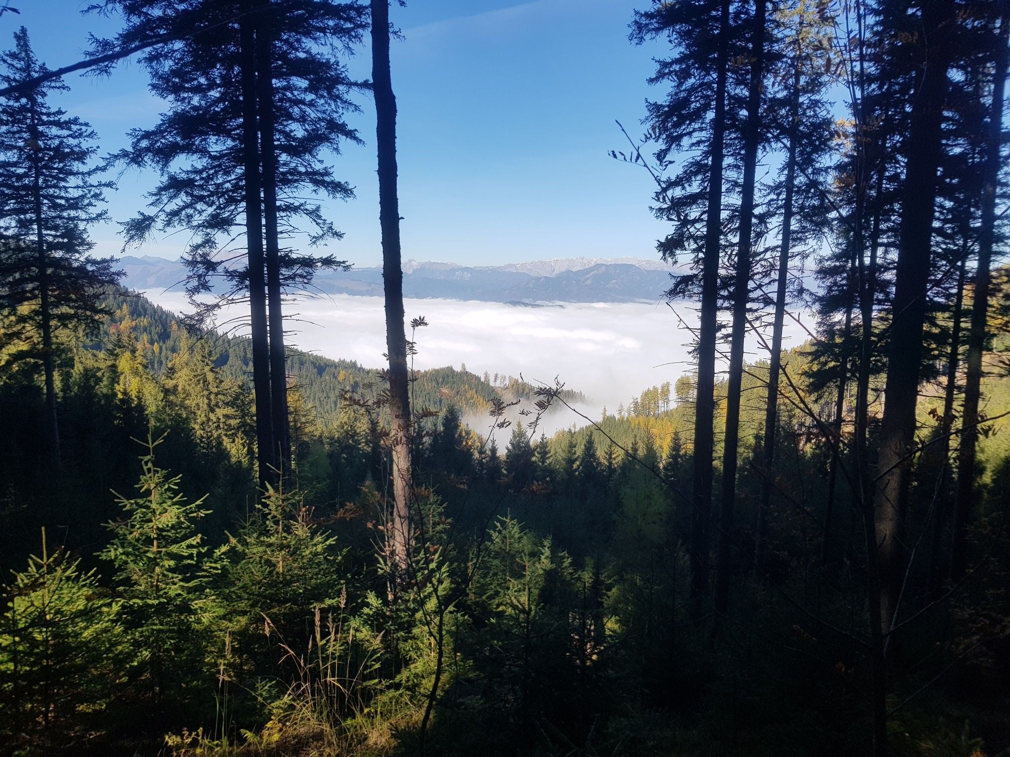 Blick zum Hochschwab