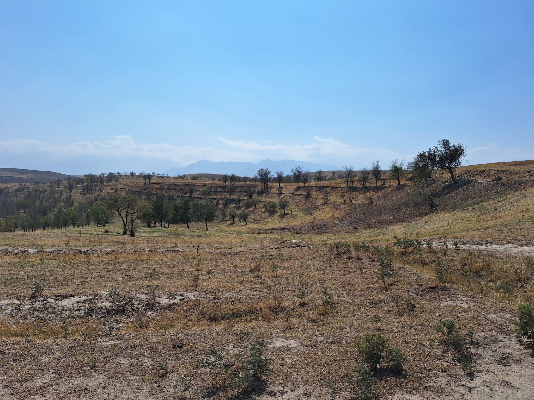 Tien Shan hinten