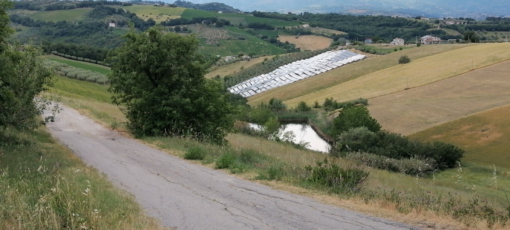 Il Nuovo Millennio, Solar Farming da Via San Nicola