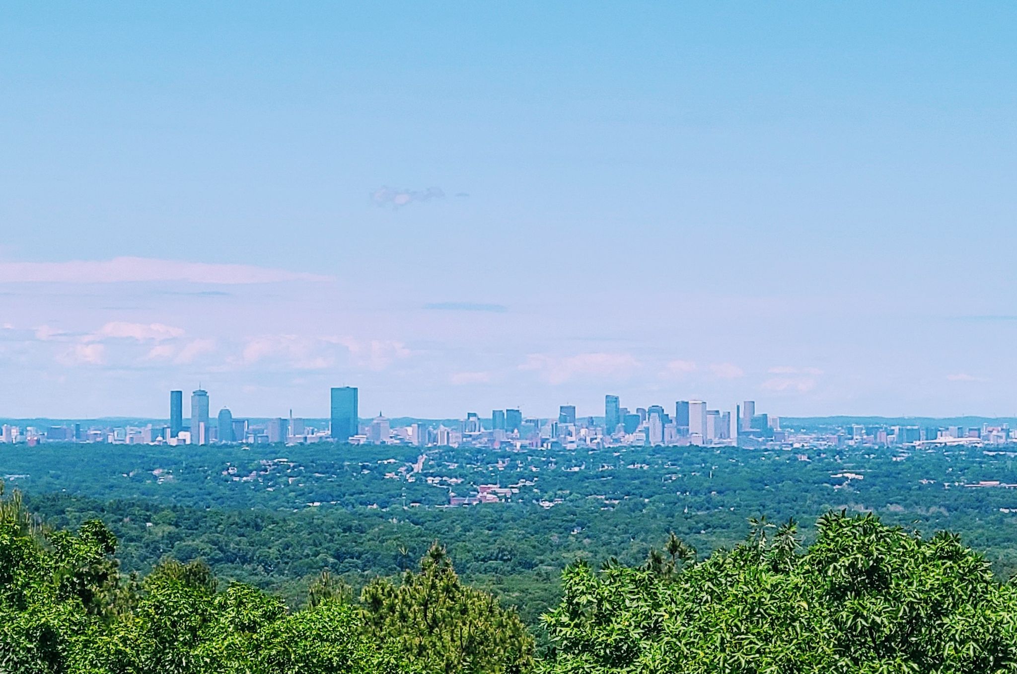 Clear view of a distant city skyline above a lush green forest. - Great Blue Hill via Wolcott Path Loop