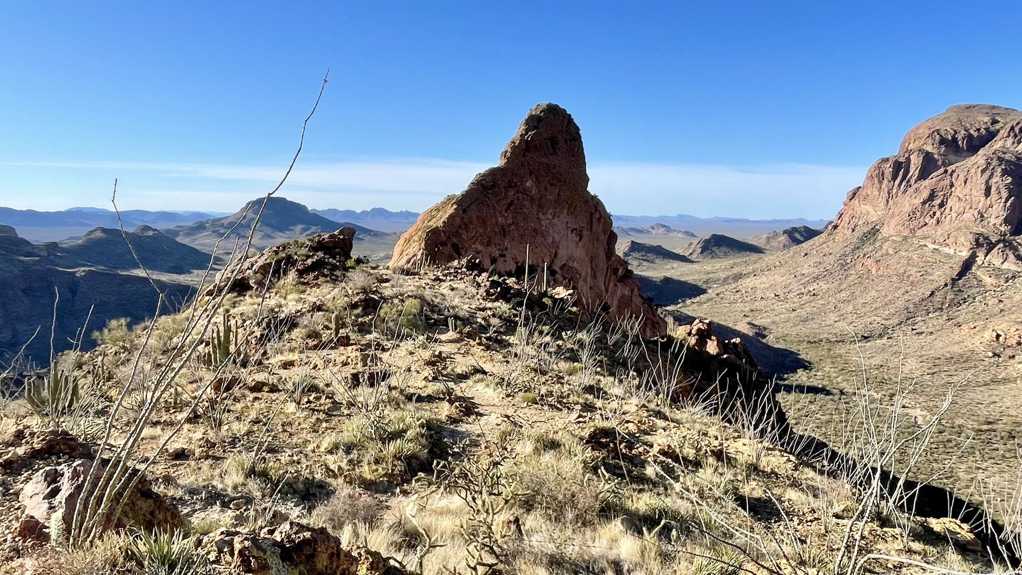 Rocky desert peak with sparse vegetation overlooking a vast mountain range. - Mount Ajo via Estes Canyon and Bull Pasture Loop