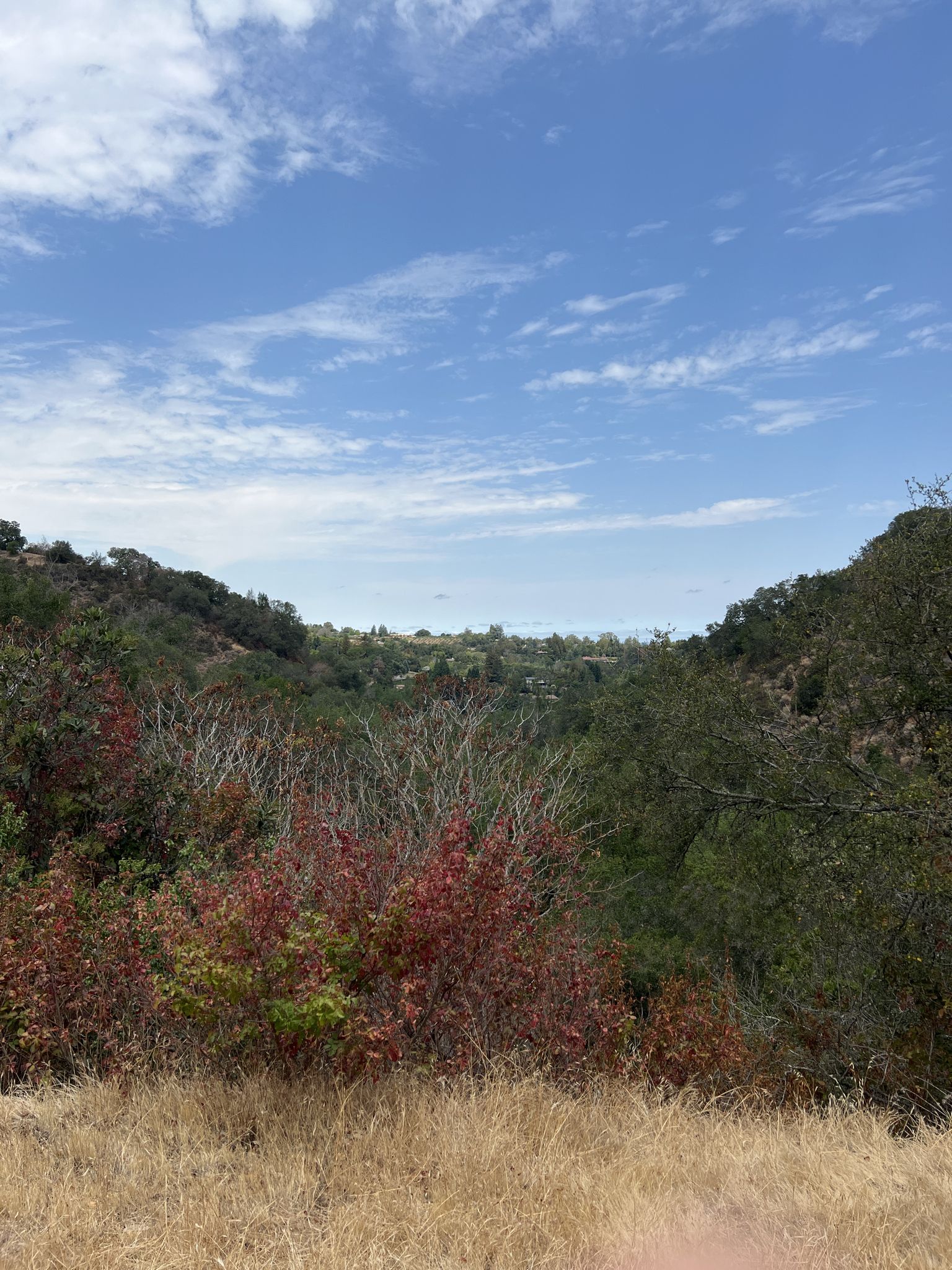 Valley view with vibrant red and green foliage under a bright blue sky. - Mary Davey Memorial loop from Foothill College