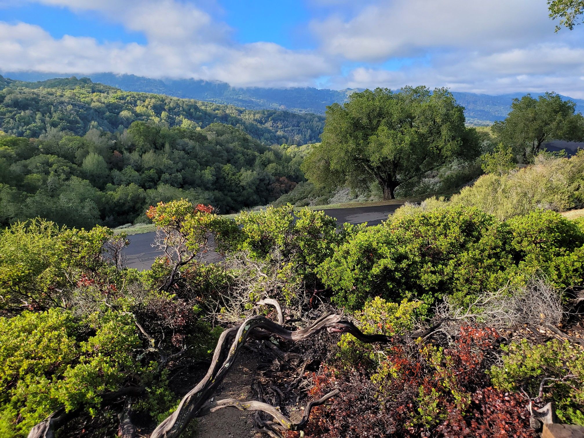 Lush green and red foliage with a winding road and distant hills under a blue sky. - Boronda Lake – Bowl Loop Jumps loop from Congregation Beth Am