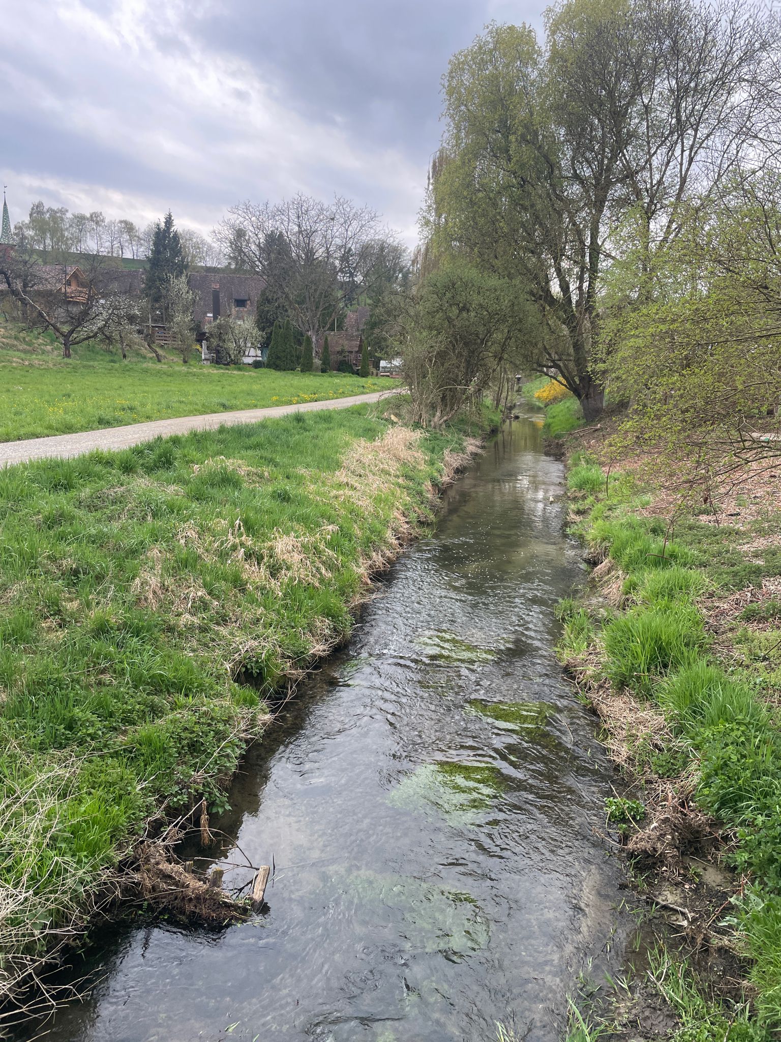 dem Geisslibach entlang