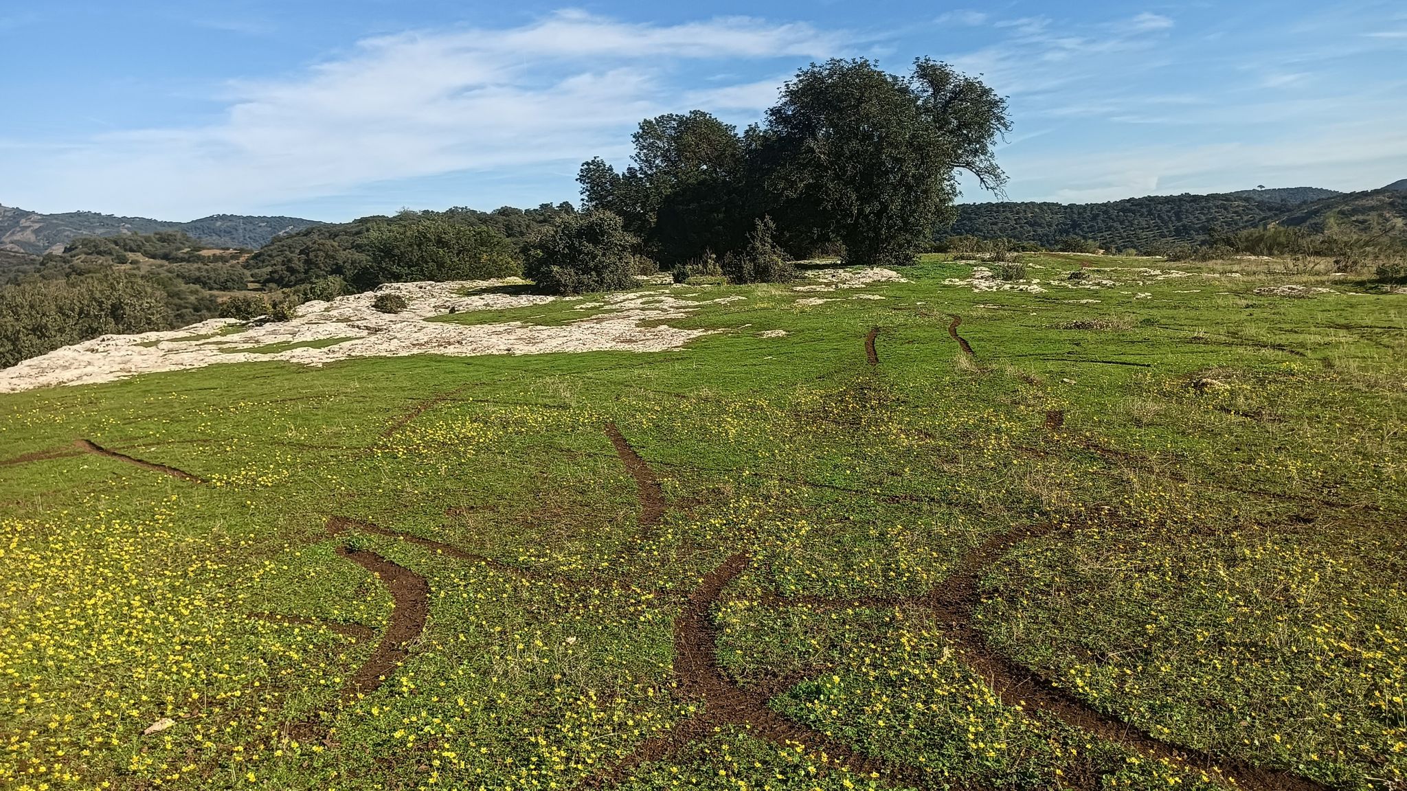 La Meseta Blanca