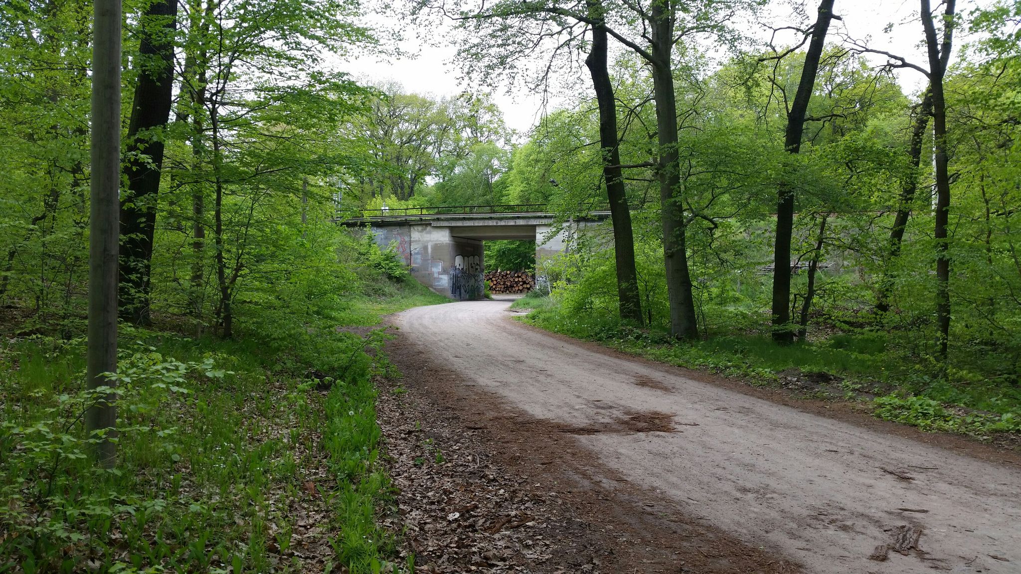 Bahntunnel 