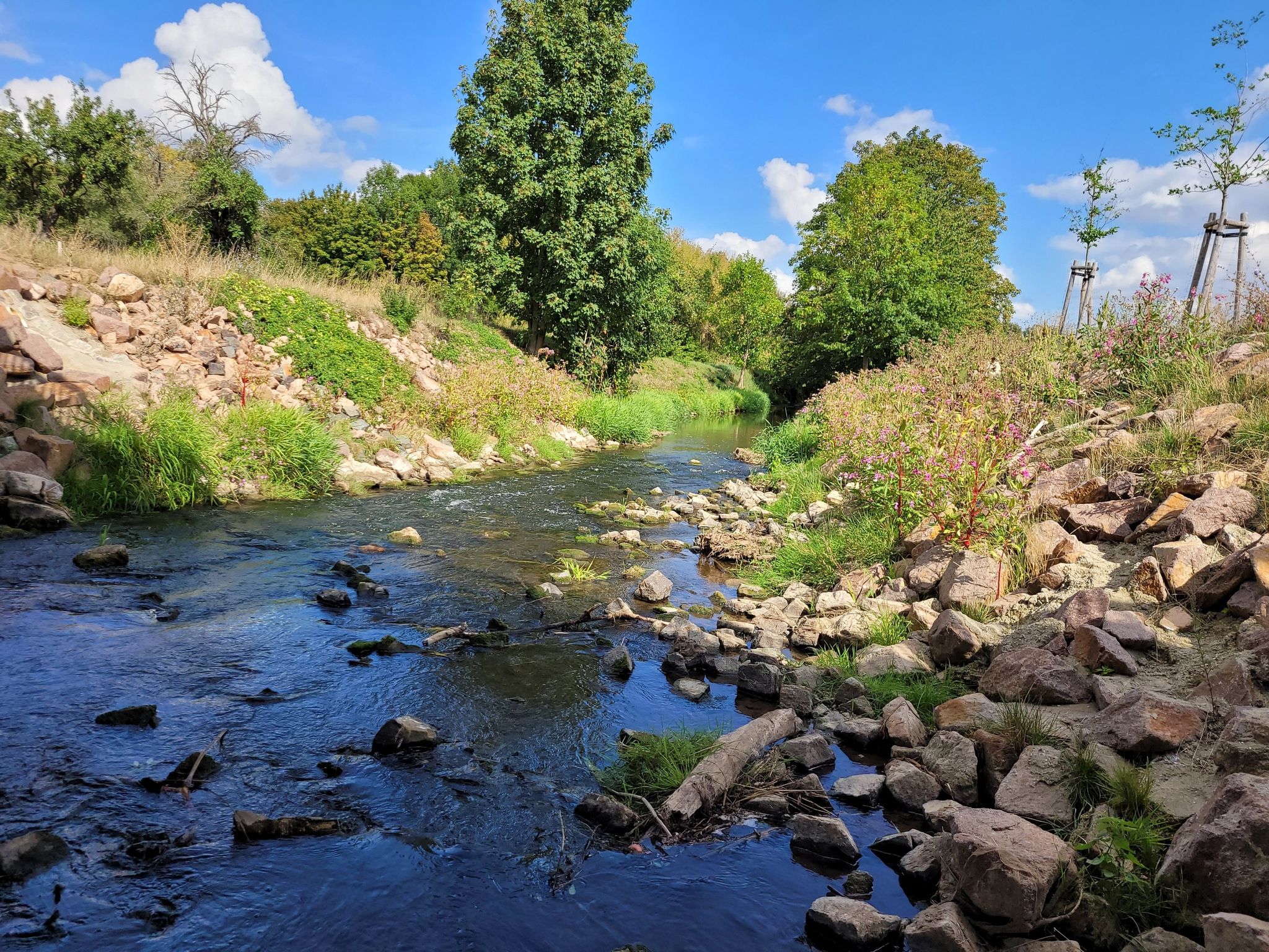 the River Wipper
