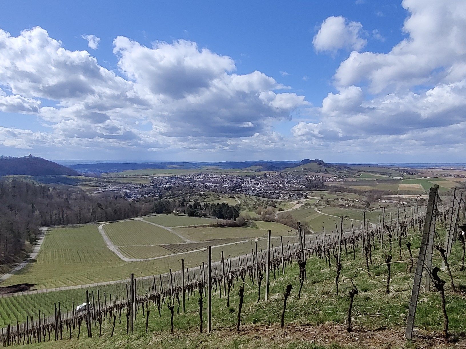 Krugeiche - Blick auf Oberstenfeld