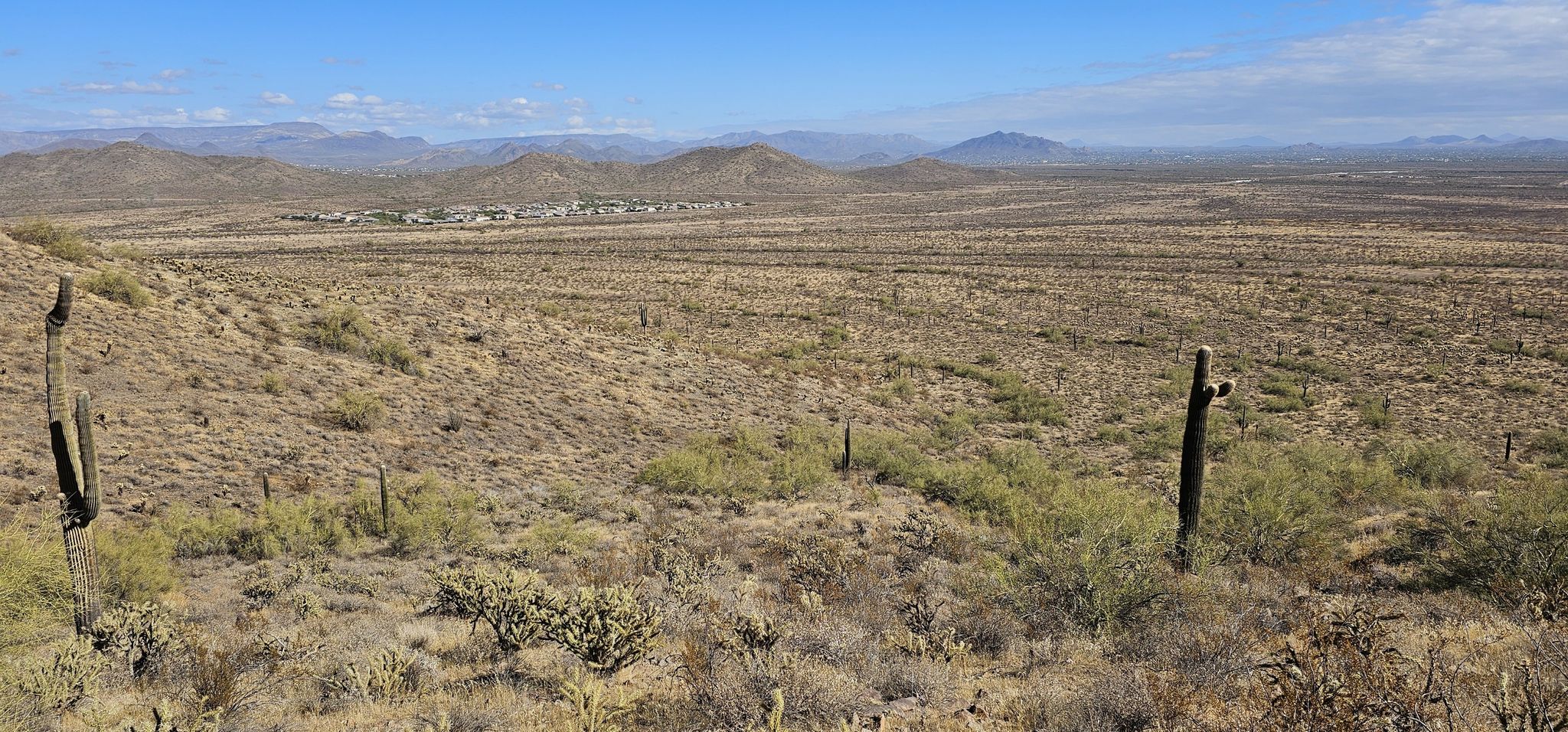 Desert landscape with saguaro cacti, distant hills, and a small community. - Dixie Mountain Loop